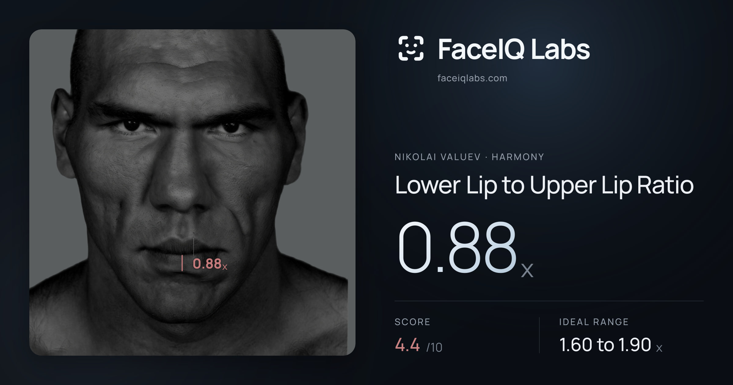 Nikolai Valuev Lower Lip to Upper Lip Ratio: 0.88x, drawn on the photo