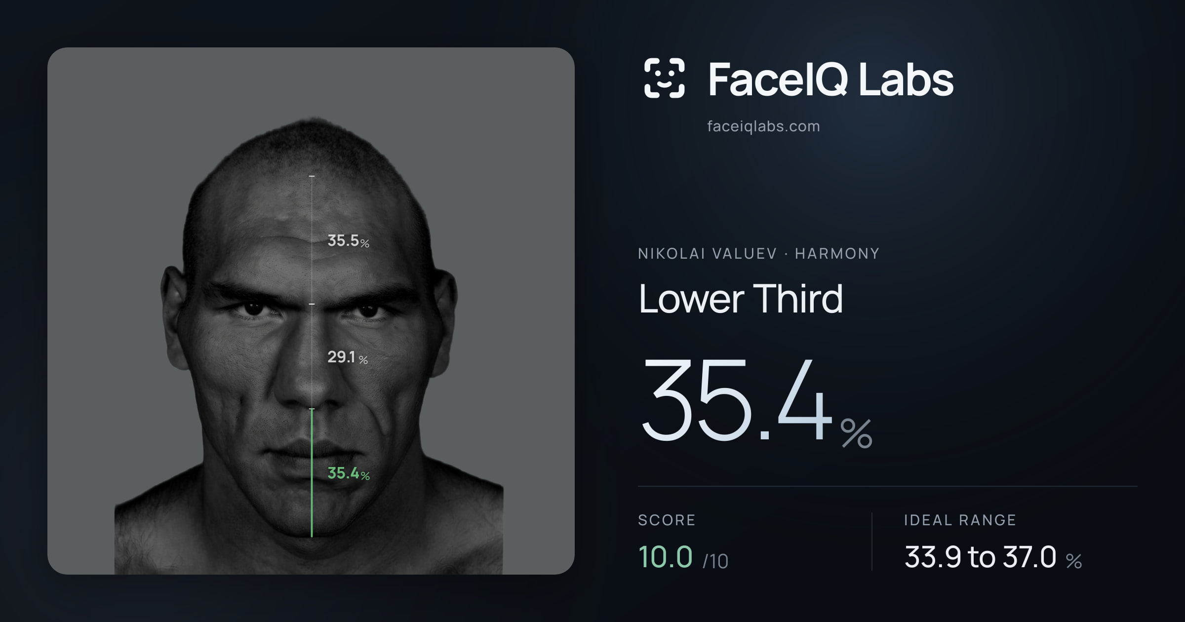 Nikolai Valuev Lower Third: 35.4%, drawn on the photo