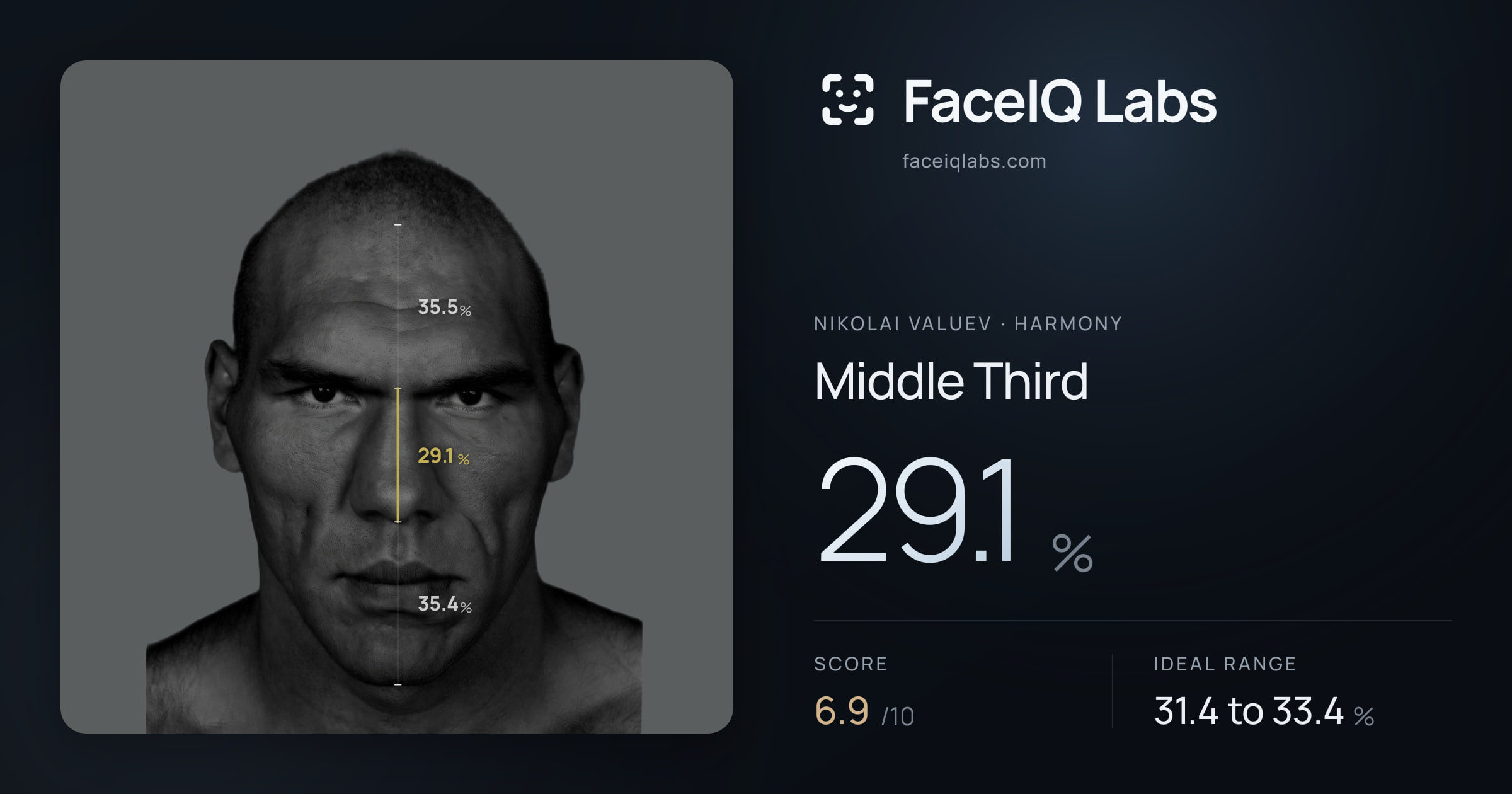 Nikolai Valuev Middle Third: 29.1%, drawn on the photo