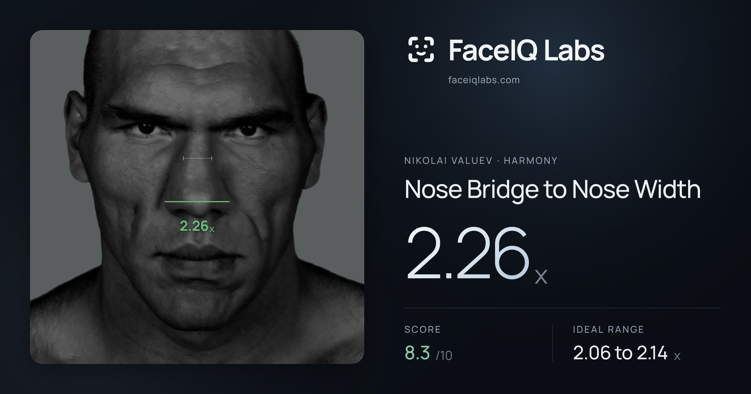 Nikolai Valuev Nose Bridge to Nose Width: 2.26x, drawn on the photo