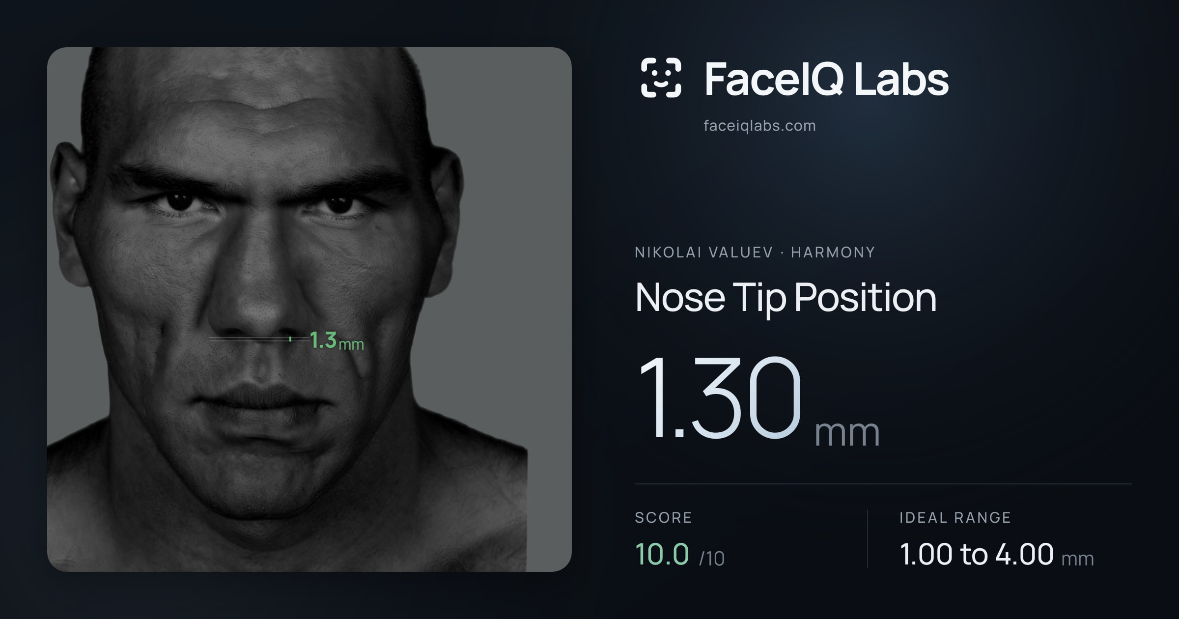 Nikolai Valuev Nose Tip Position: 1.30mm, drawn on the photo