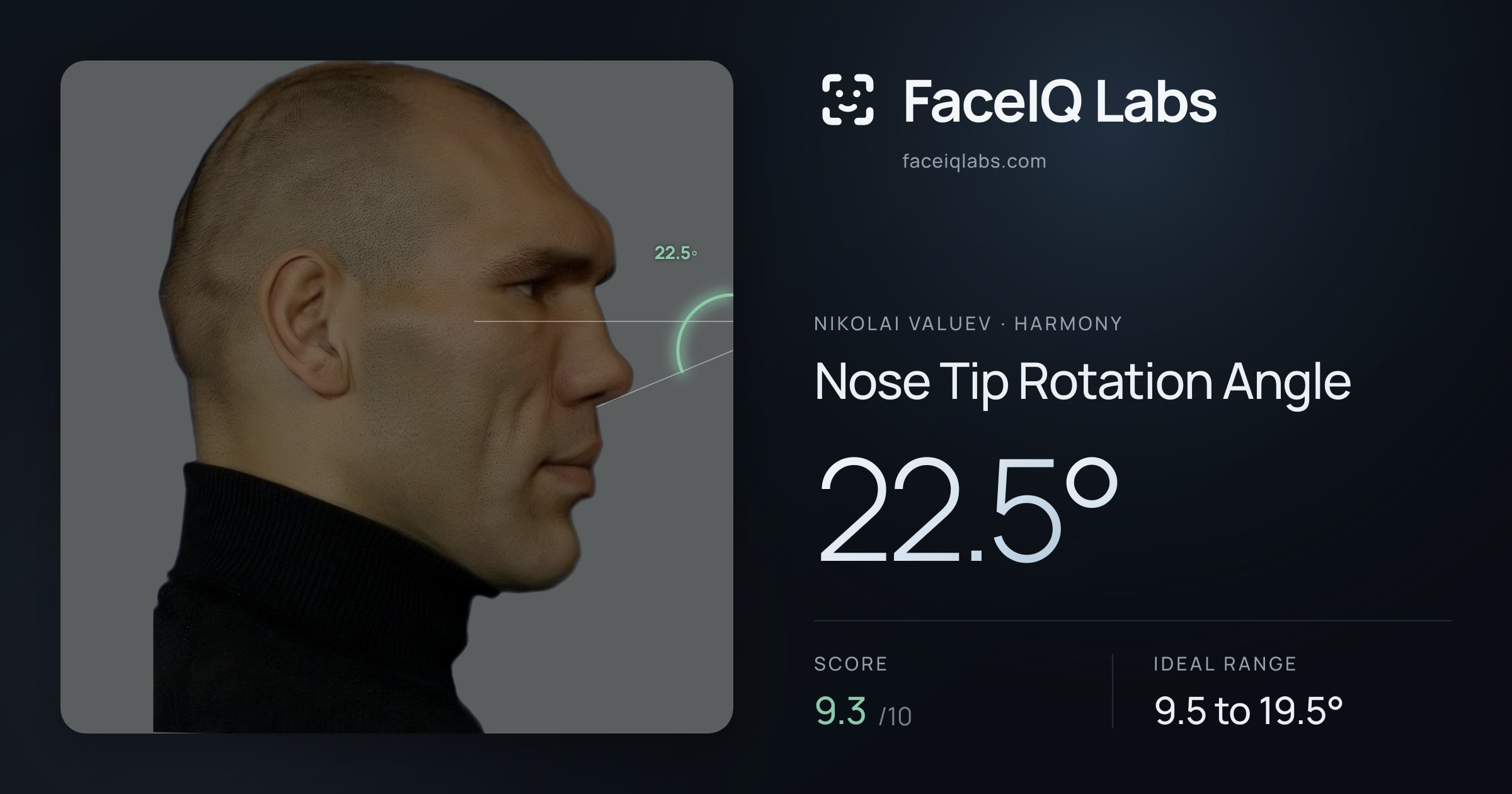 Nikolai Valuev Nose Tip Rotation Angle: 22.5°, drawn on the photo