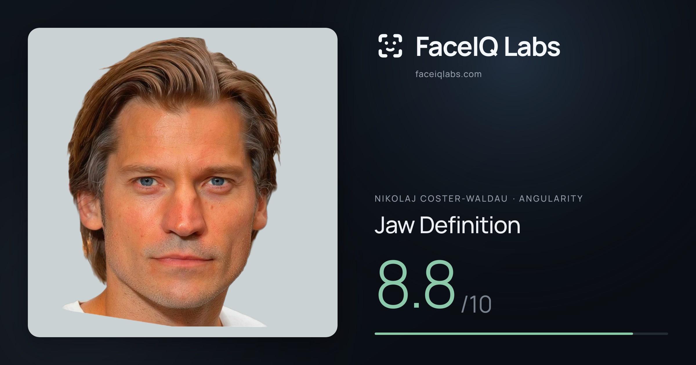 Nikolaj Coster-Waldau Jaw Definition: 8.8/10, drawn on the photo