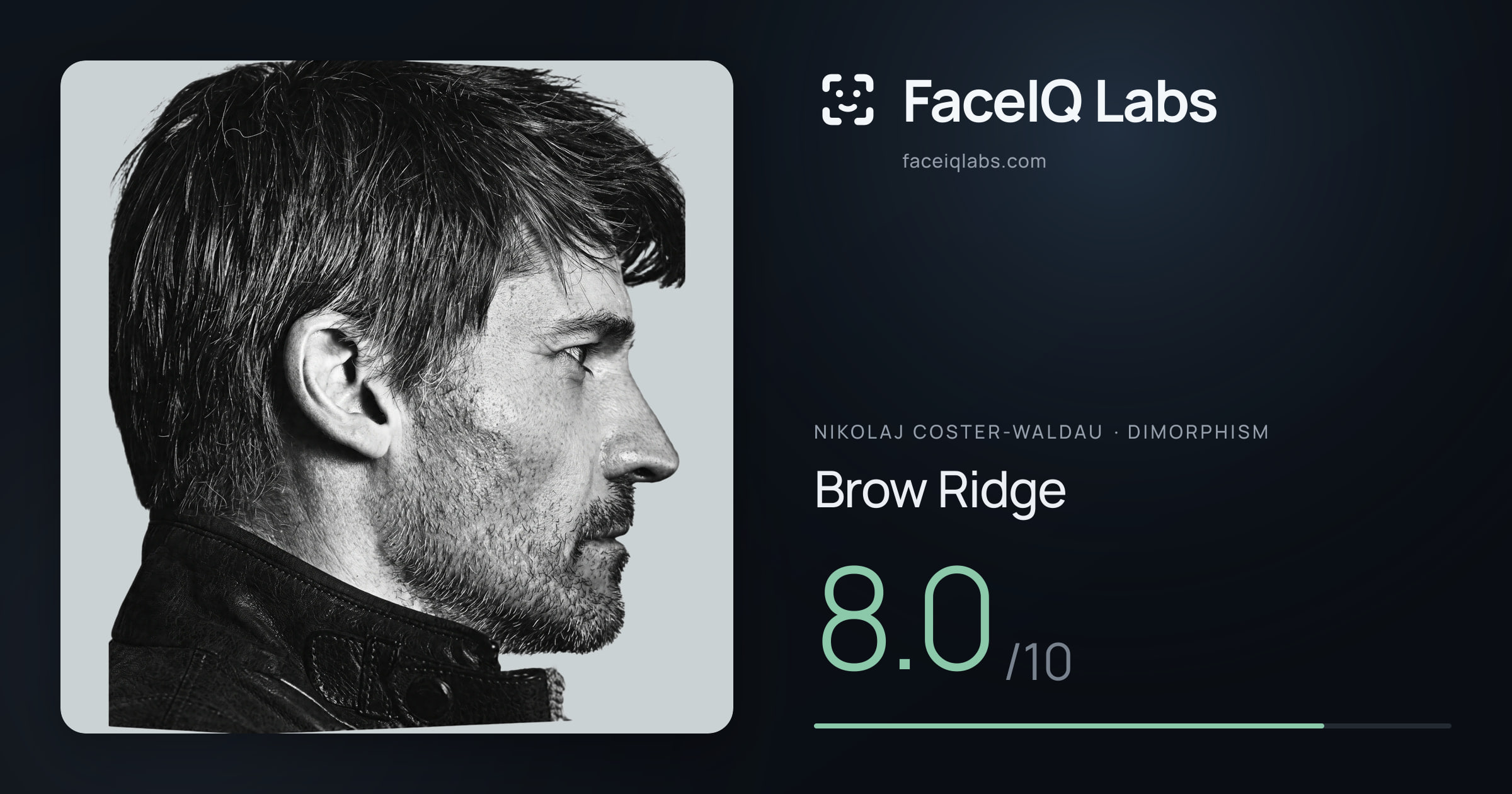 Nikolaj Coster-Waldau Brow Ridge: 8.0/10, drawn on the photo
