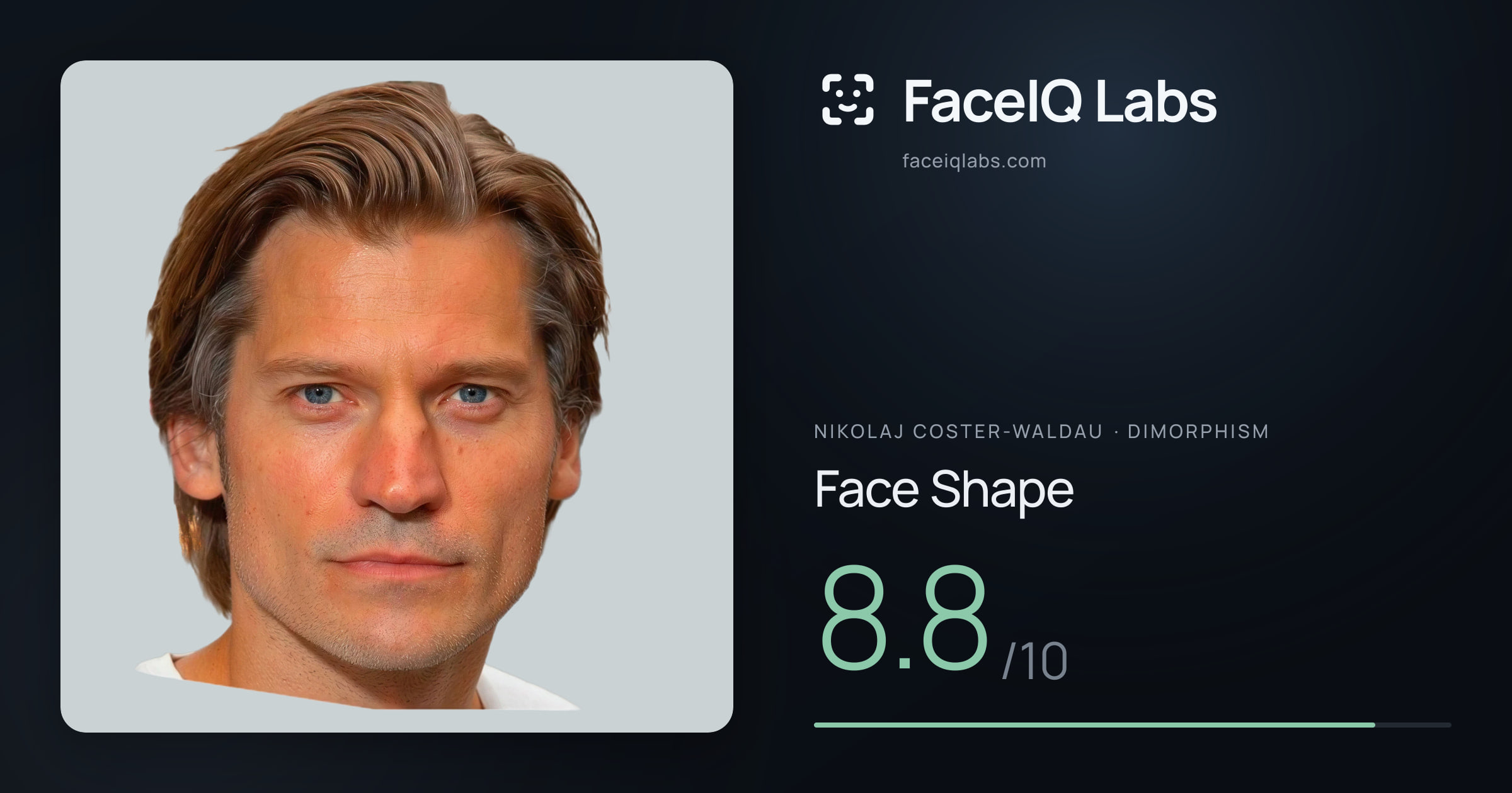Nikolaj Coster-Waldau Face Shape: 8.8/10, drawn on the photo