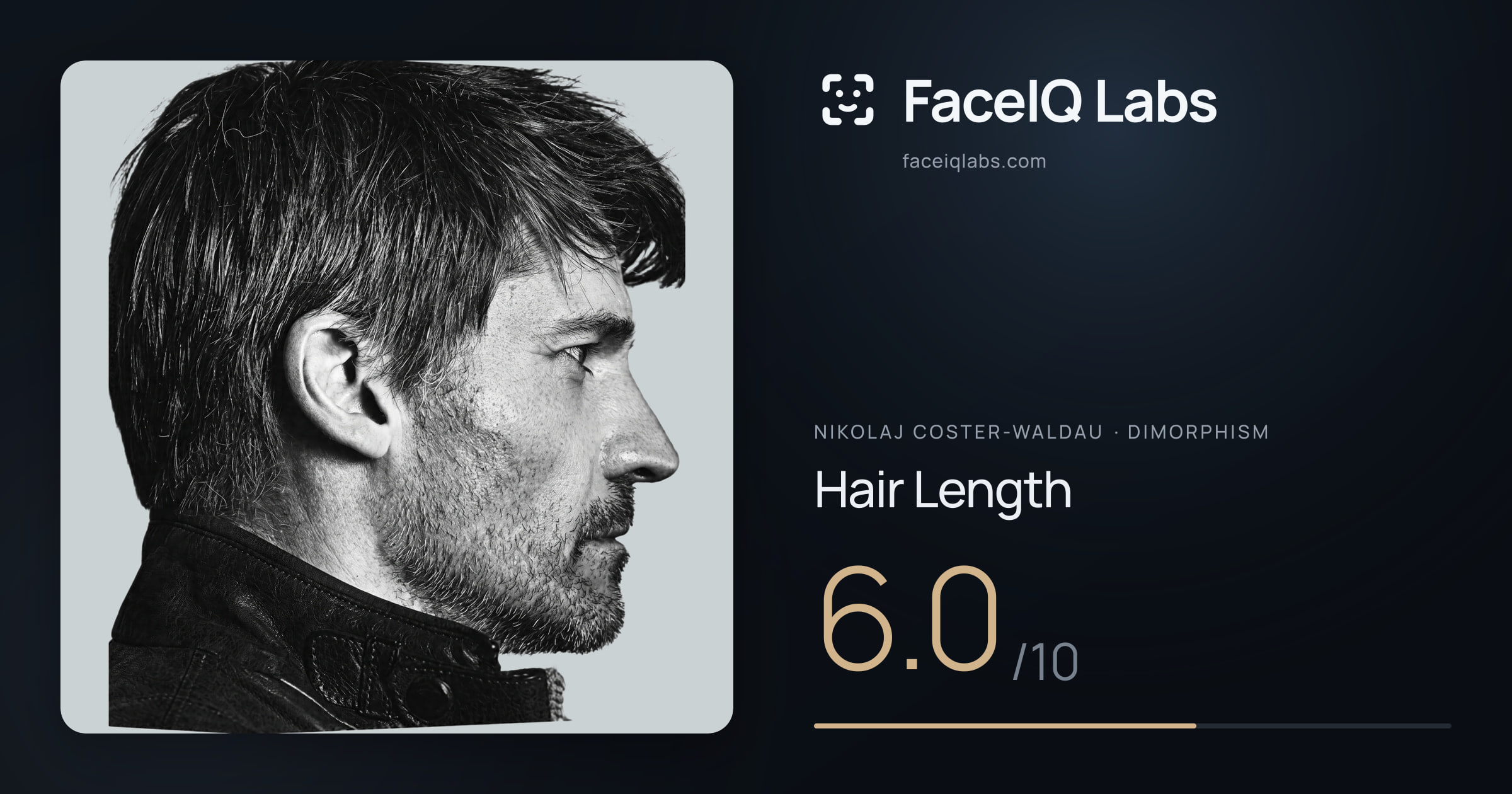 Nikolaj Coster-Waldau Hair Length: 6.0/10, drawn on the photo