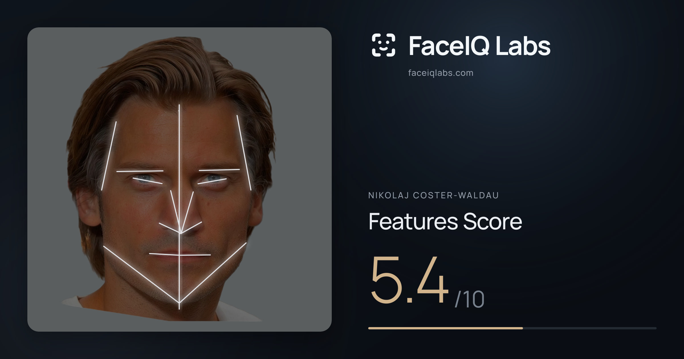 Nikolaj Coster-Waldau Features: 5.4/10, with each assessment drawn on the photo