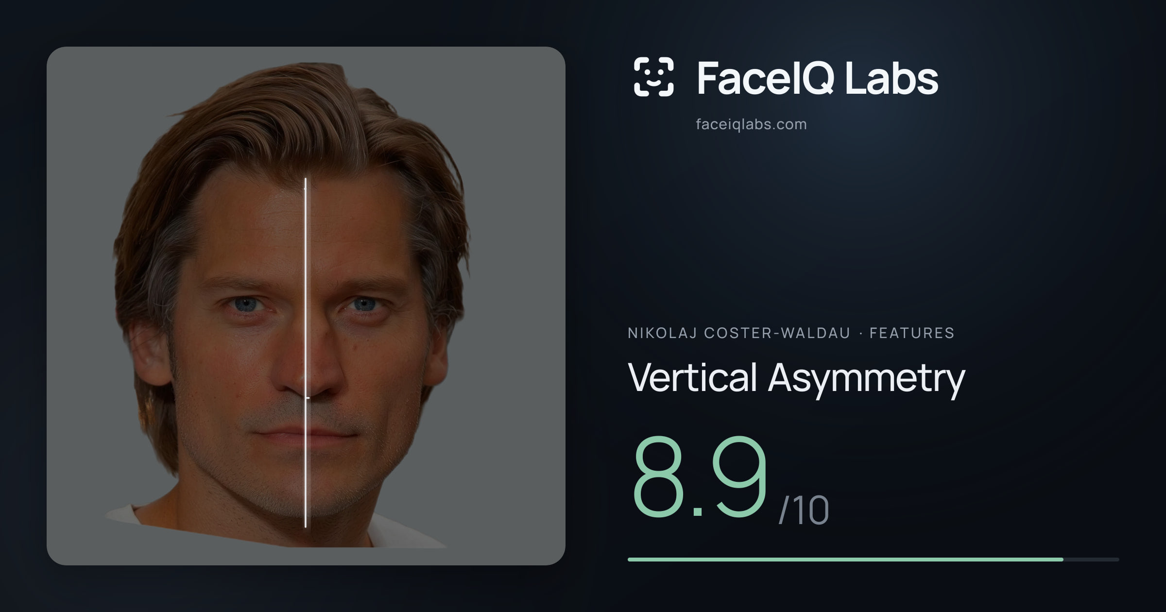 Nikolaj Coster-Waldau Vertical Asymmetry: 8.9/10, drawn on the photo