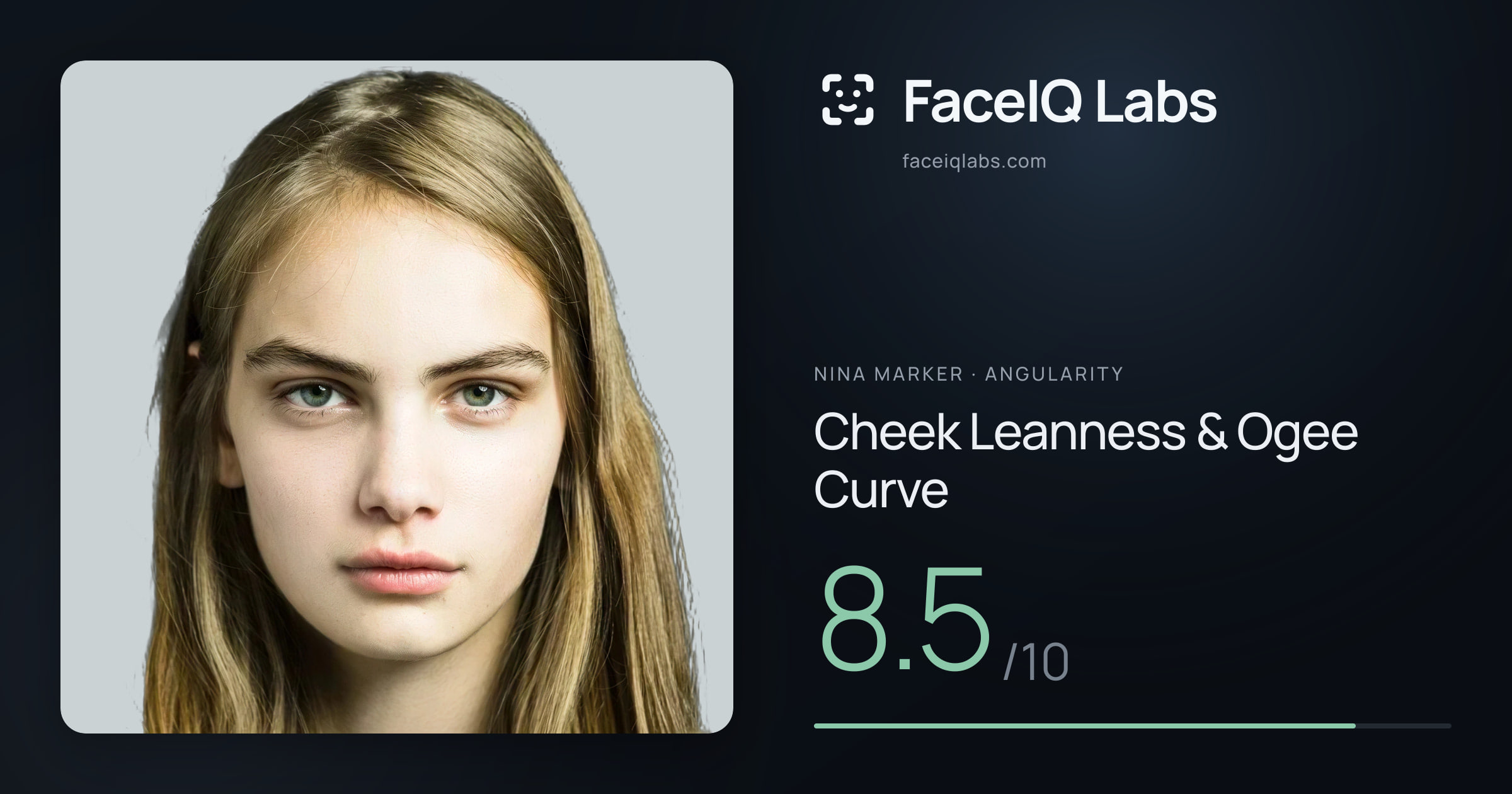Nina Marker Cheek Leanness & Ogee Curve: 8.5/10, drawn on the photo