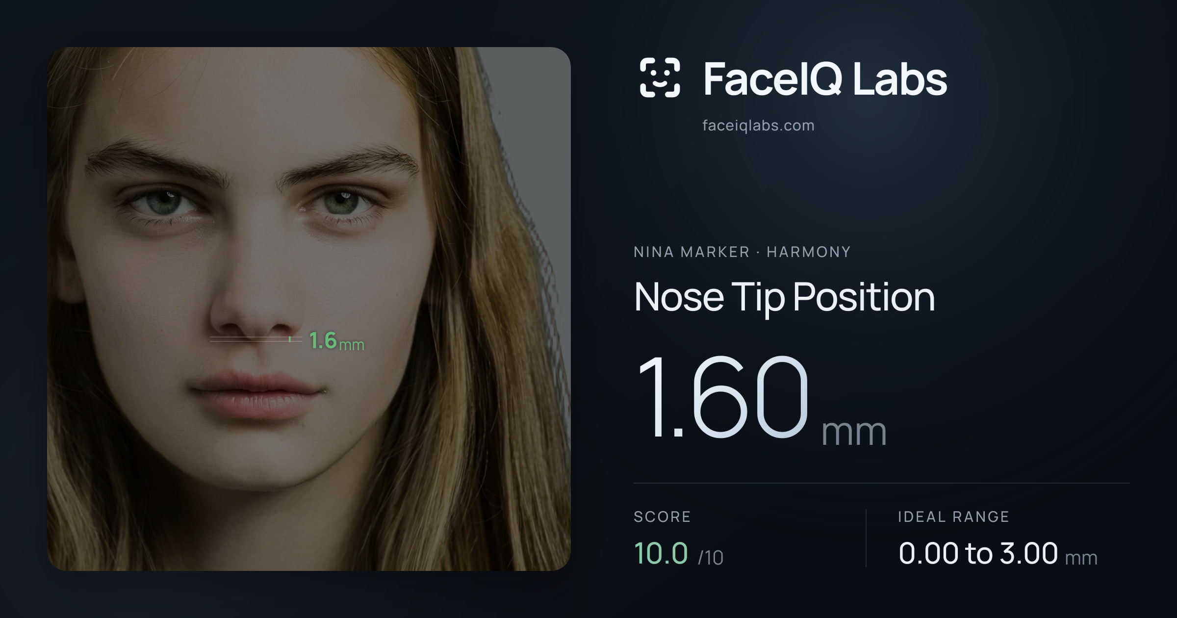 Nina Marker Nose Tip Position: 1.60mm, drawn on the photo