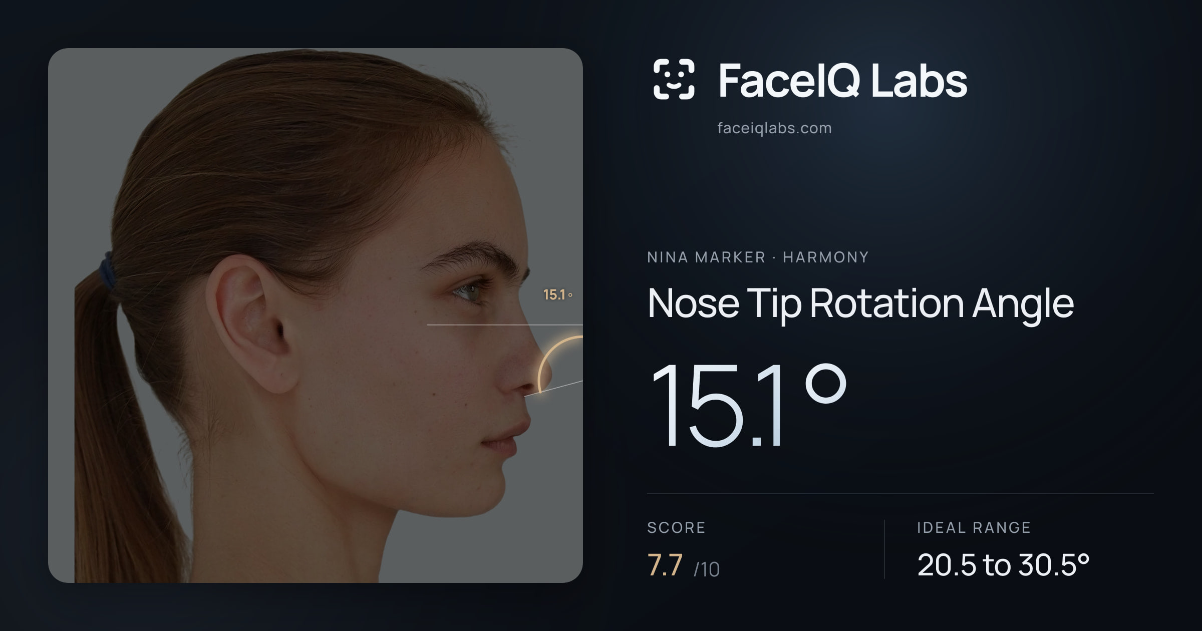 Nina Marker Nose Tip Rotation Angle: 15.1°, drawn on the photo