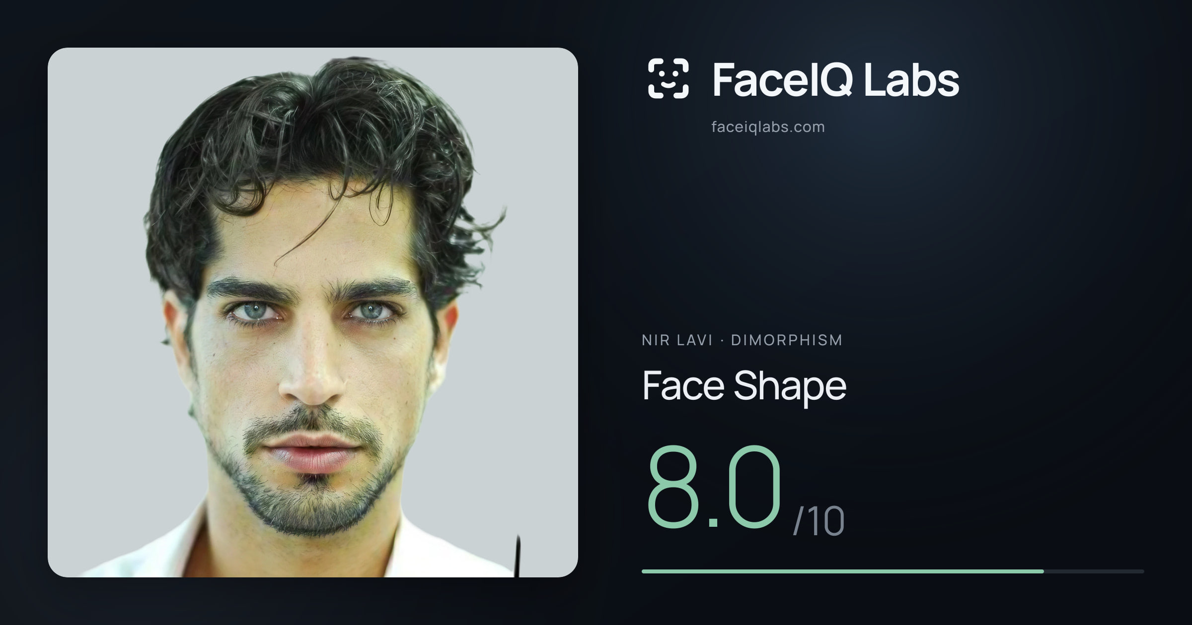Nir Lavi Face Shape: 8.0/10, drawn on the photo