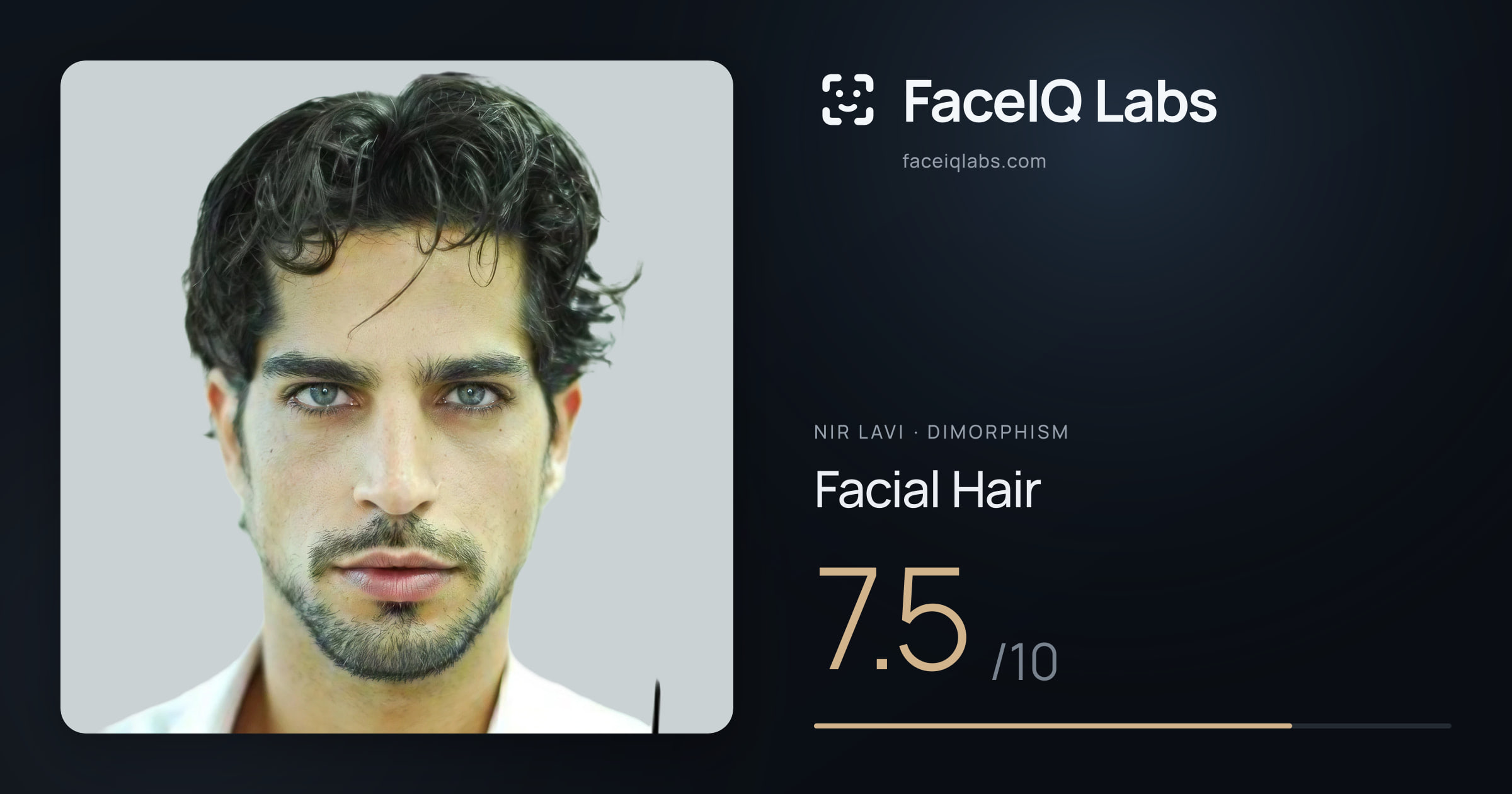 Nir Lavi Facial Hair: 7.5/10, drawn on the photo