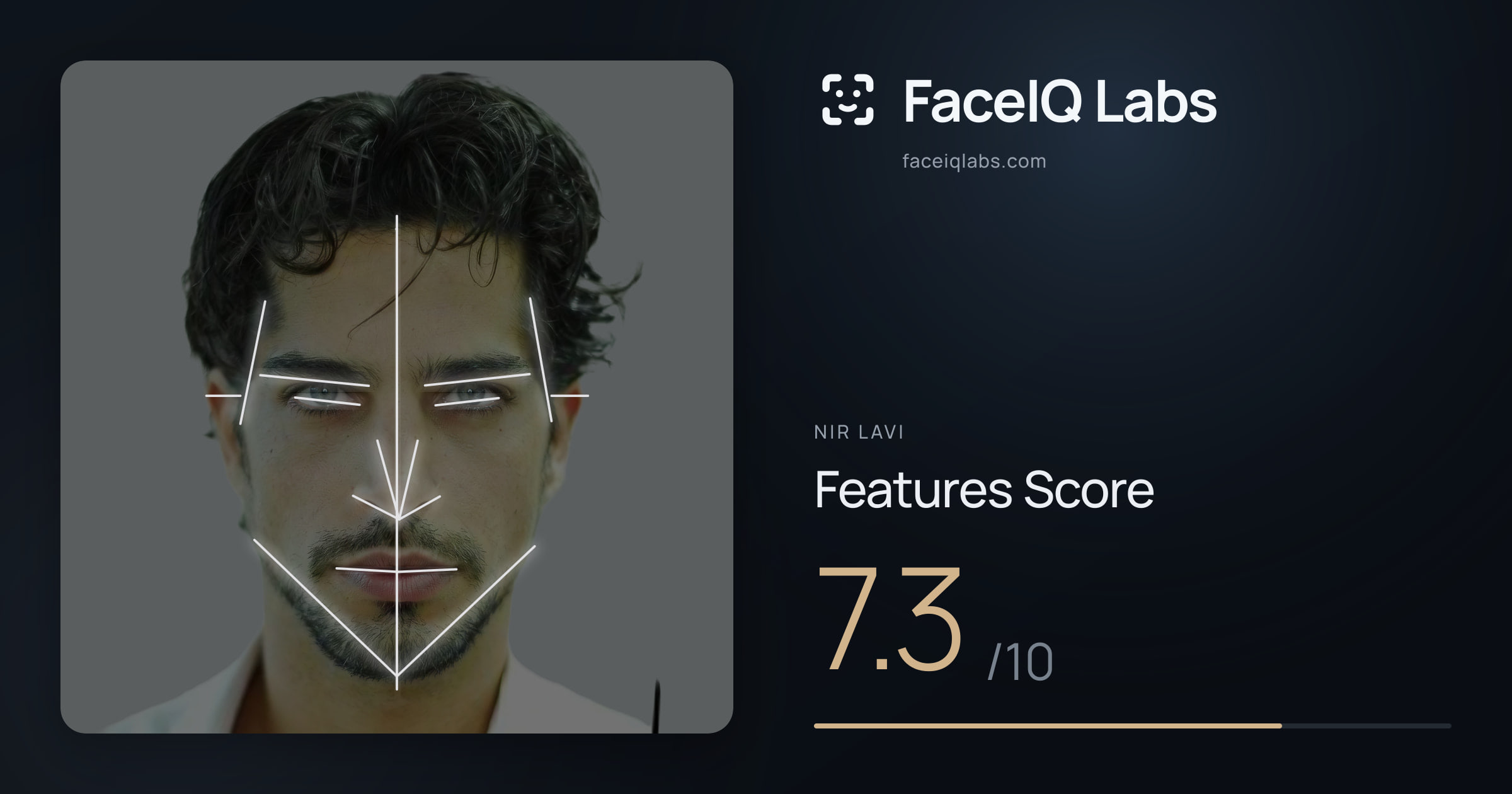 Nir Lavi Features: 7.3/10, with each assessment drawn on the photo