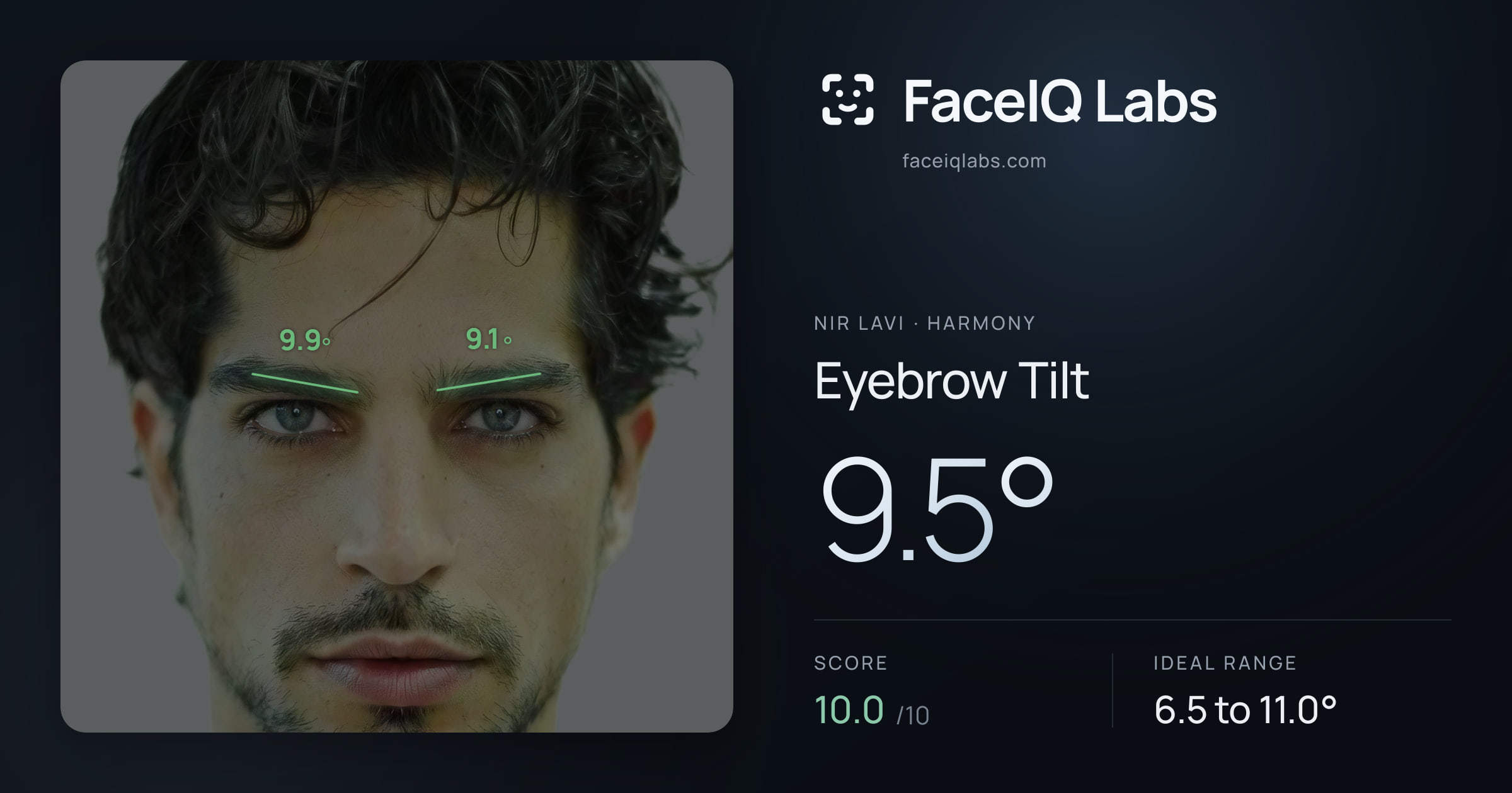 Nir Lavi Eyebrow Tilt: 9.5°, drawn on the photo