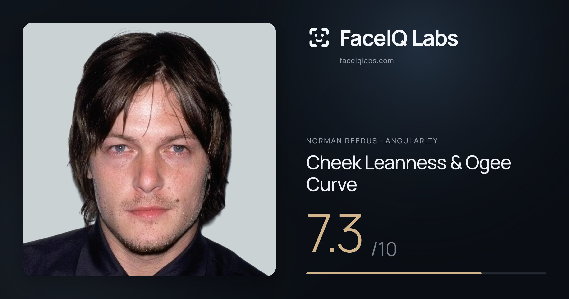 Norman Reedus Cheek Leanness & Ogee Curve: 7.3/10, drawn on the photo