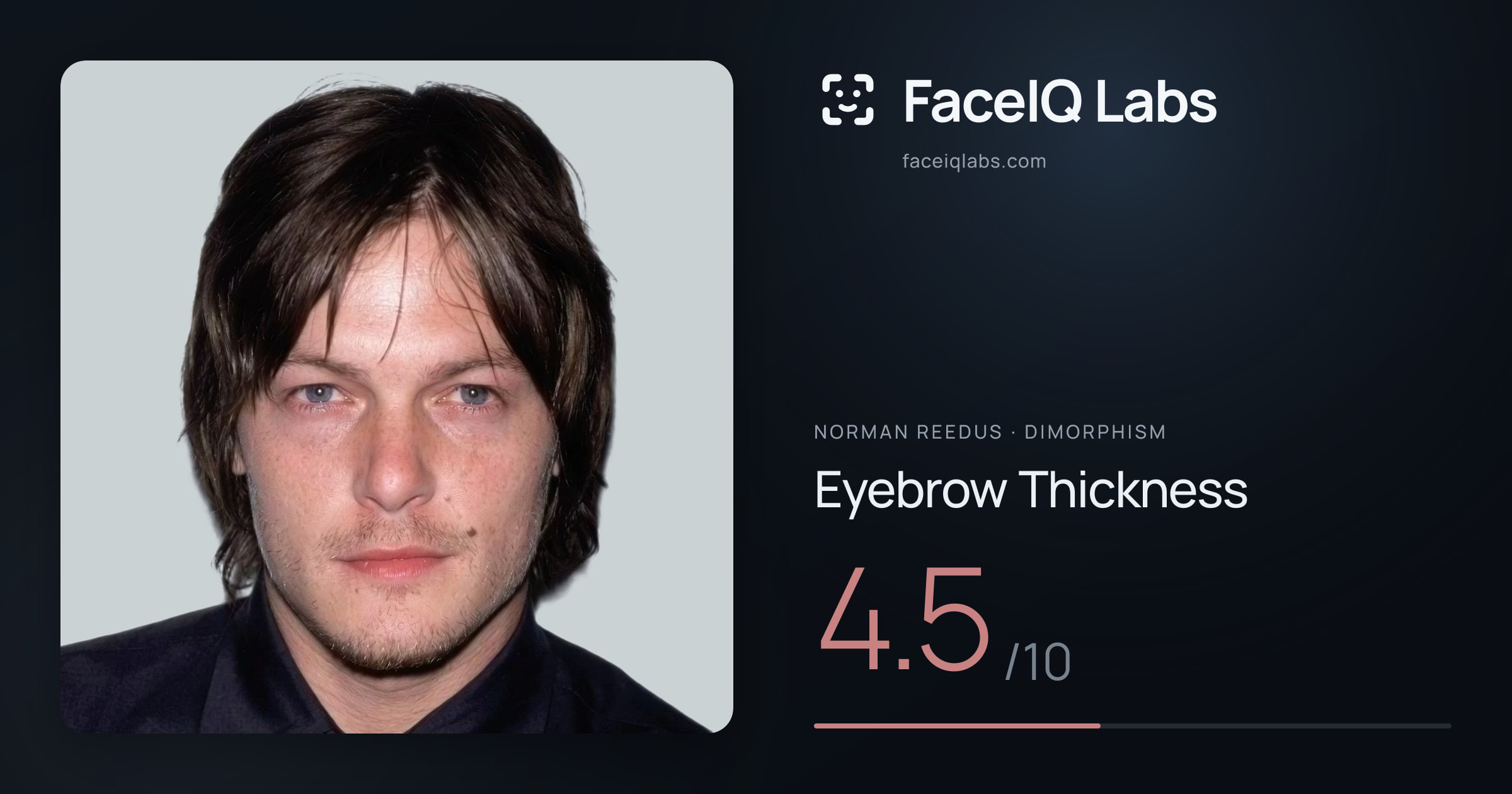 Norman Reedus Eyebrow Thickness: 4.5/10, drawn on the photo