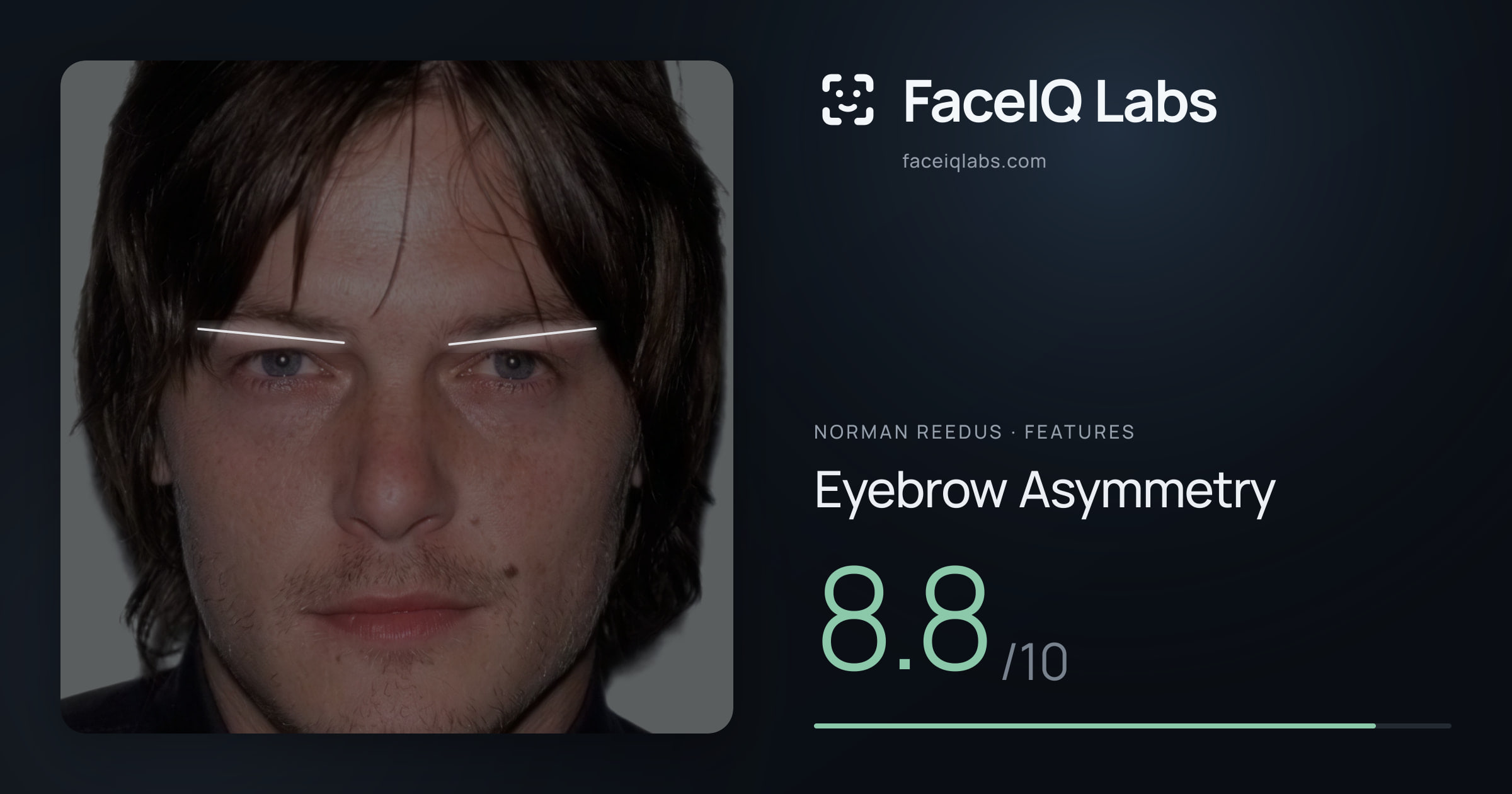 Norman Reedus Eyebrow Asymmetry: 8.8/10, drawn on the photo