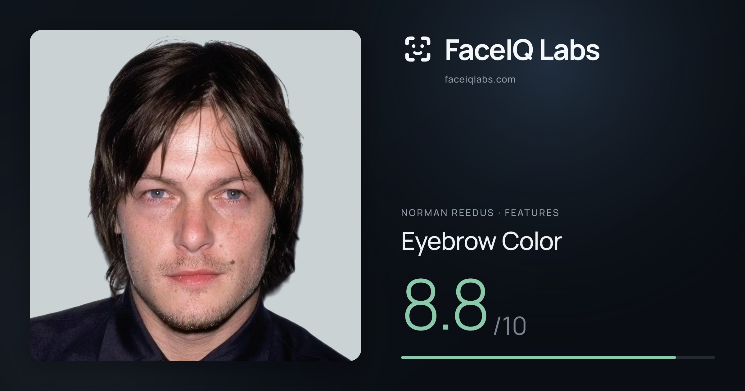 Norman Reedus Eyebrow Color: 8.8/10, drawn on the photo