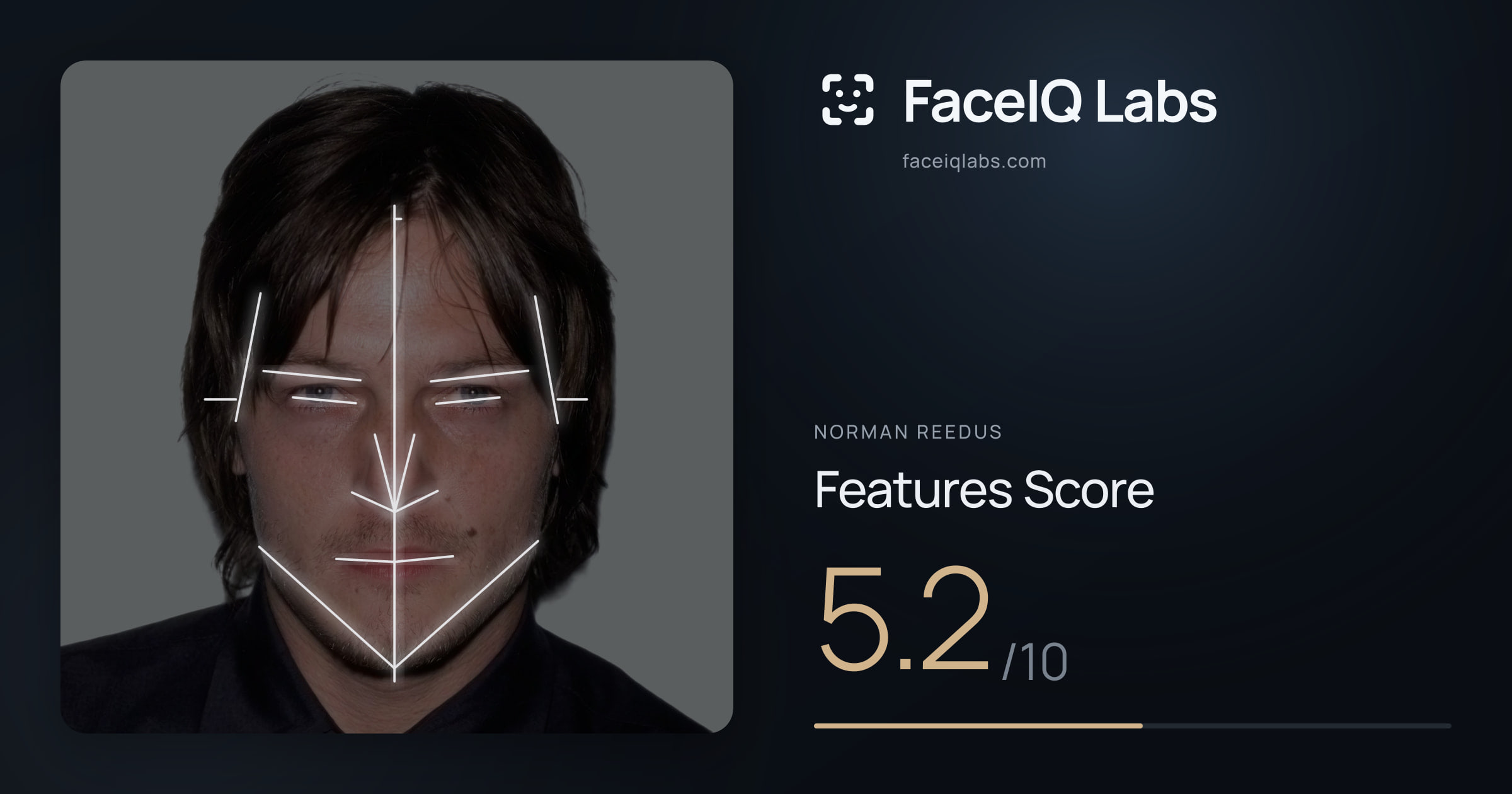 Norman Reedus Features: 5.2/10, with each assessment drawn on the photo