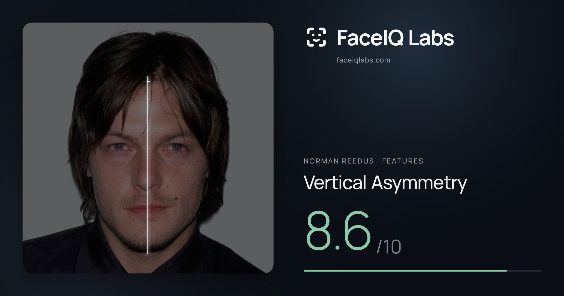 Norman Reedus Vertical Asymmetry: 8.6/10, drawn on the photo