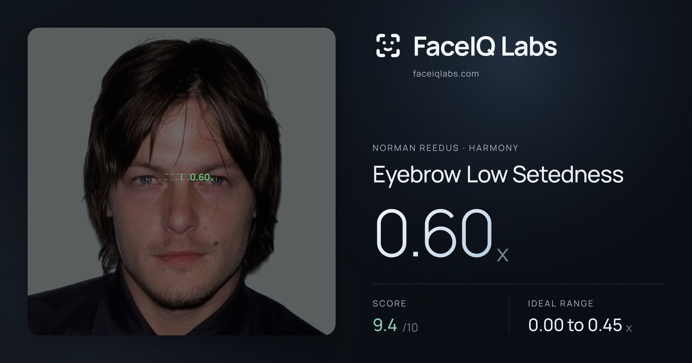 Norman Reedus Eyebrow Low Setedness: 0.60x, drawn on the photo