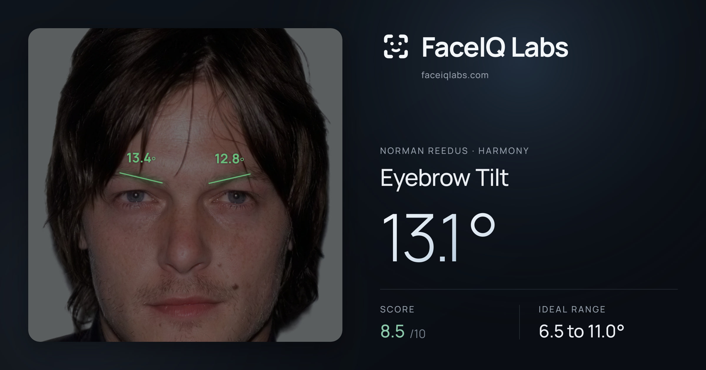 Norman Reedus Eyebrow Tilt: 13.1°, drawn on the photo