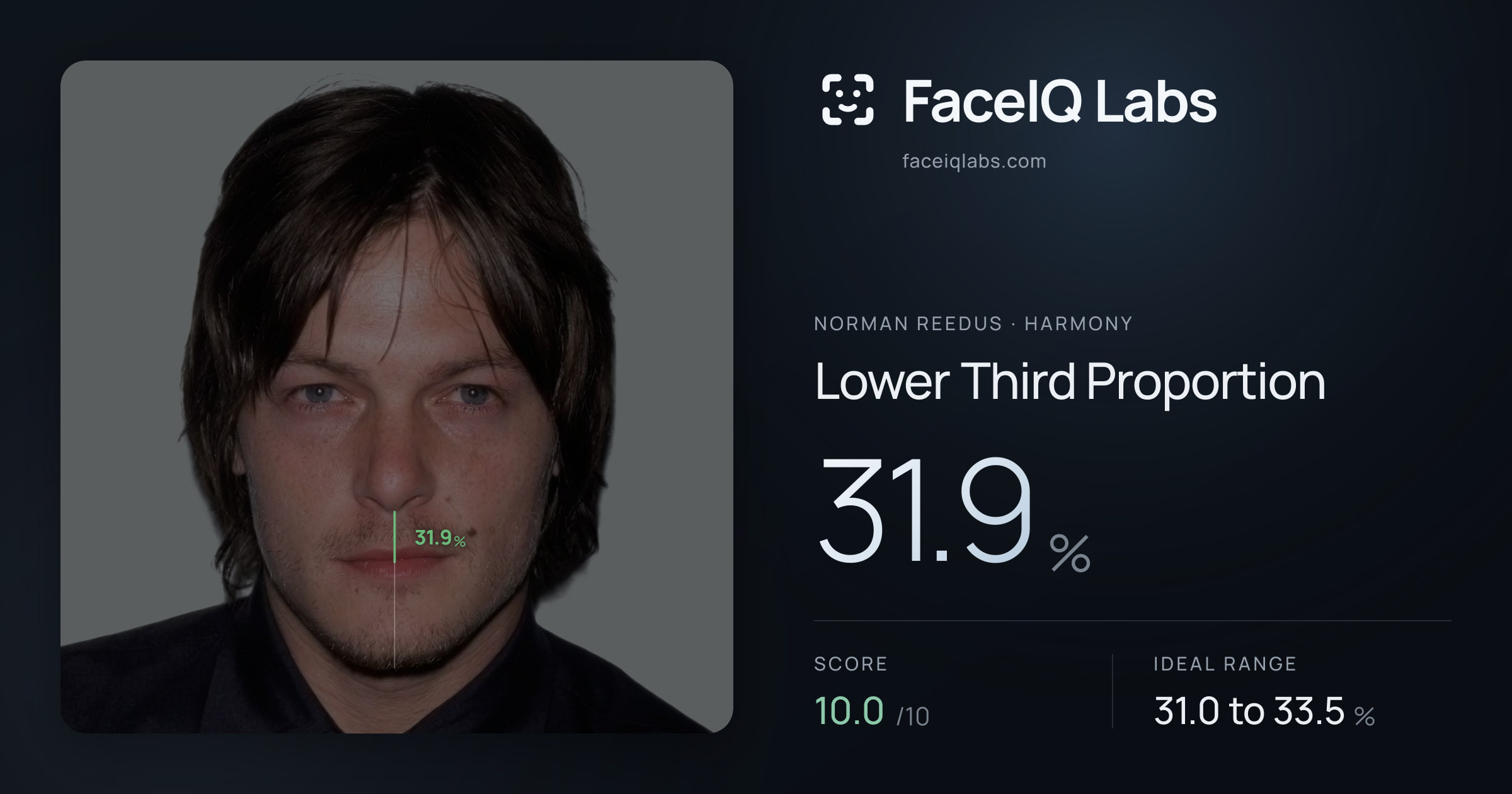 Norman Reedus Lower Third Proportion: 31.9%, drawn on the photo