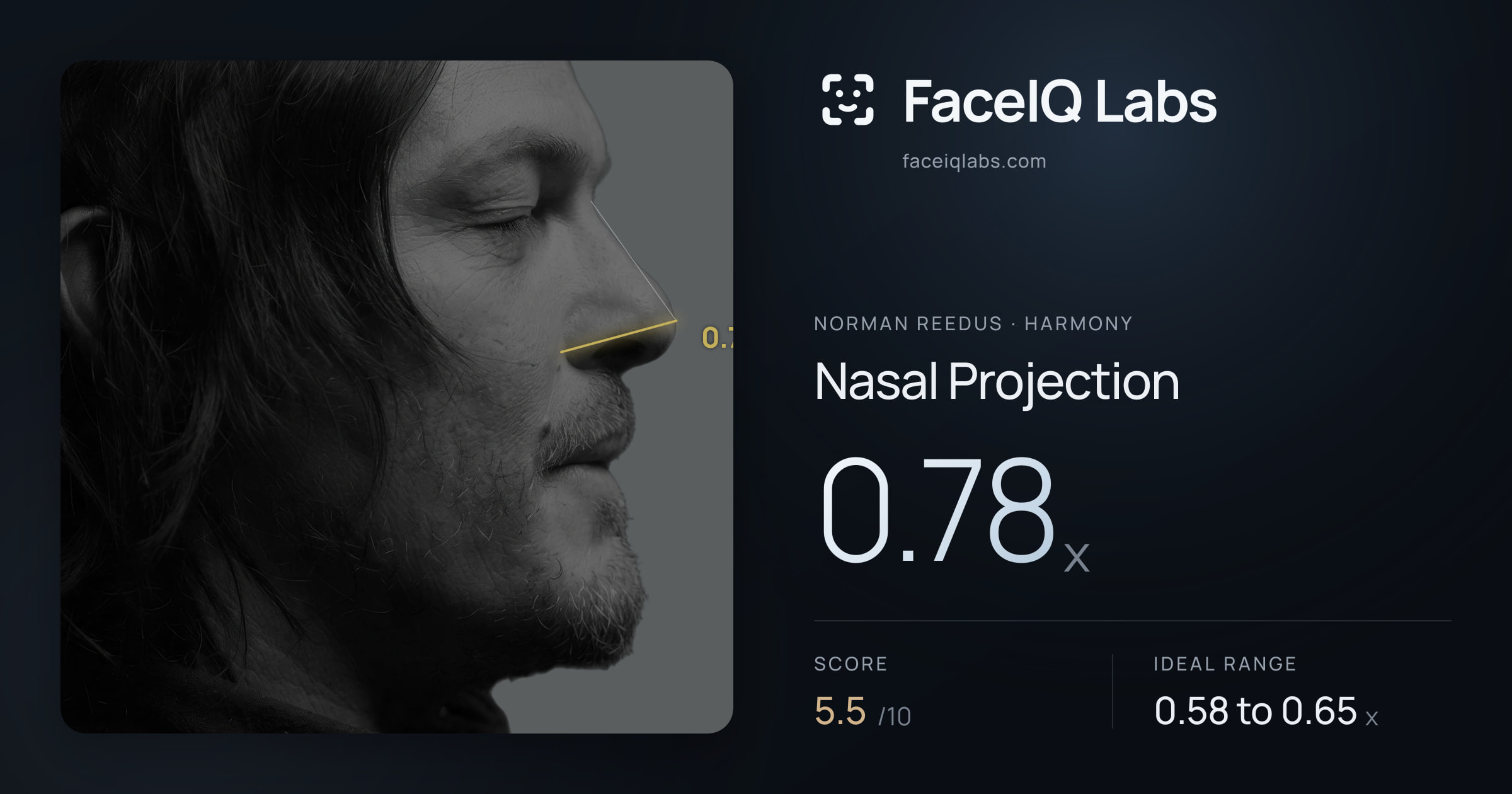 Norman Reedus Nasal Projection: 0.78x, drawn on the photo