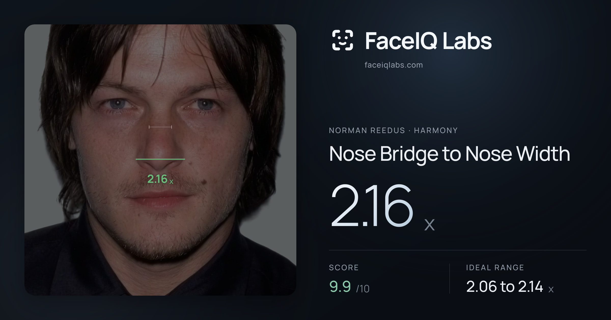 Norman Reedus Nose Bridge to Nose Width: 2.16x, drawn on the photo