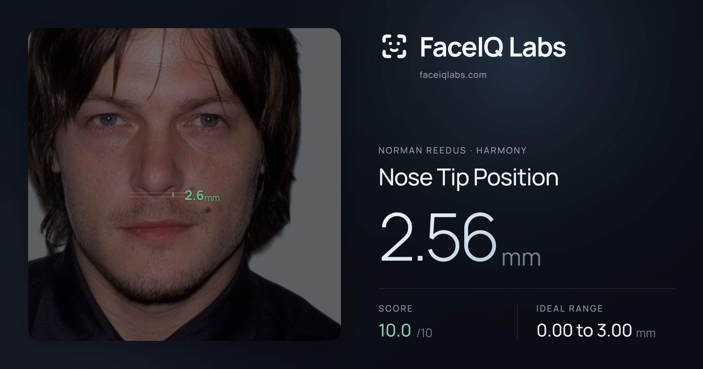 Norman Reedus Nose Tip Position: 2.56mm, drawn on the photo