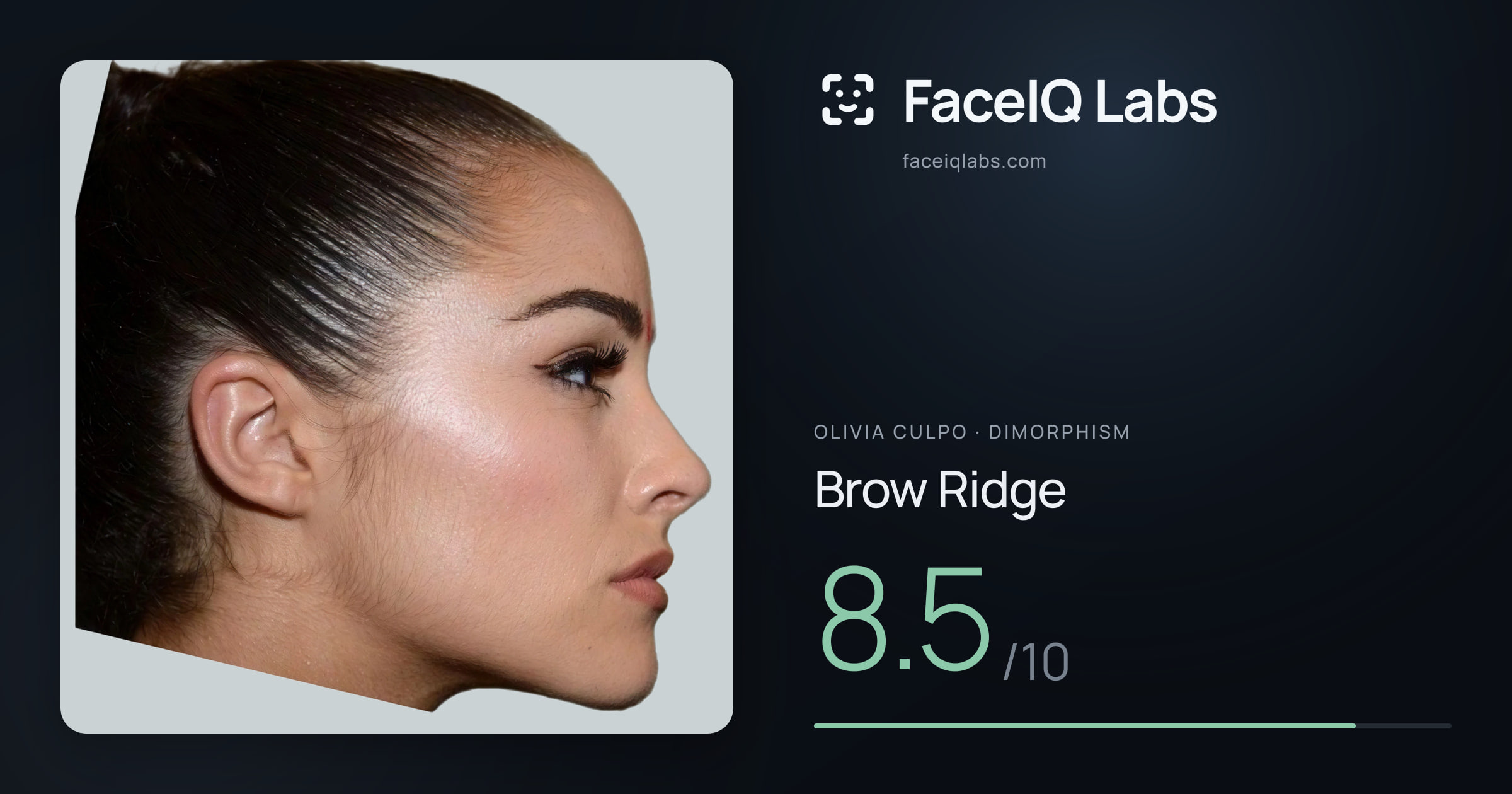 Olivia Culpo Brow Ridge: 8.5/10, drawn on the photo