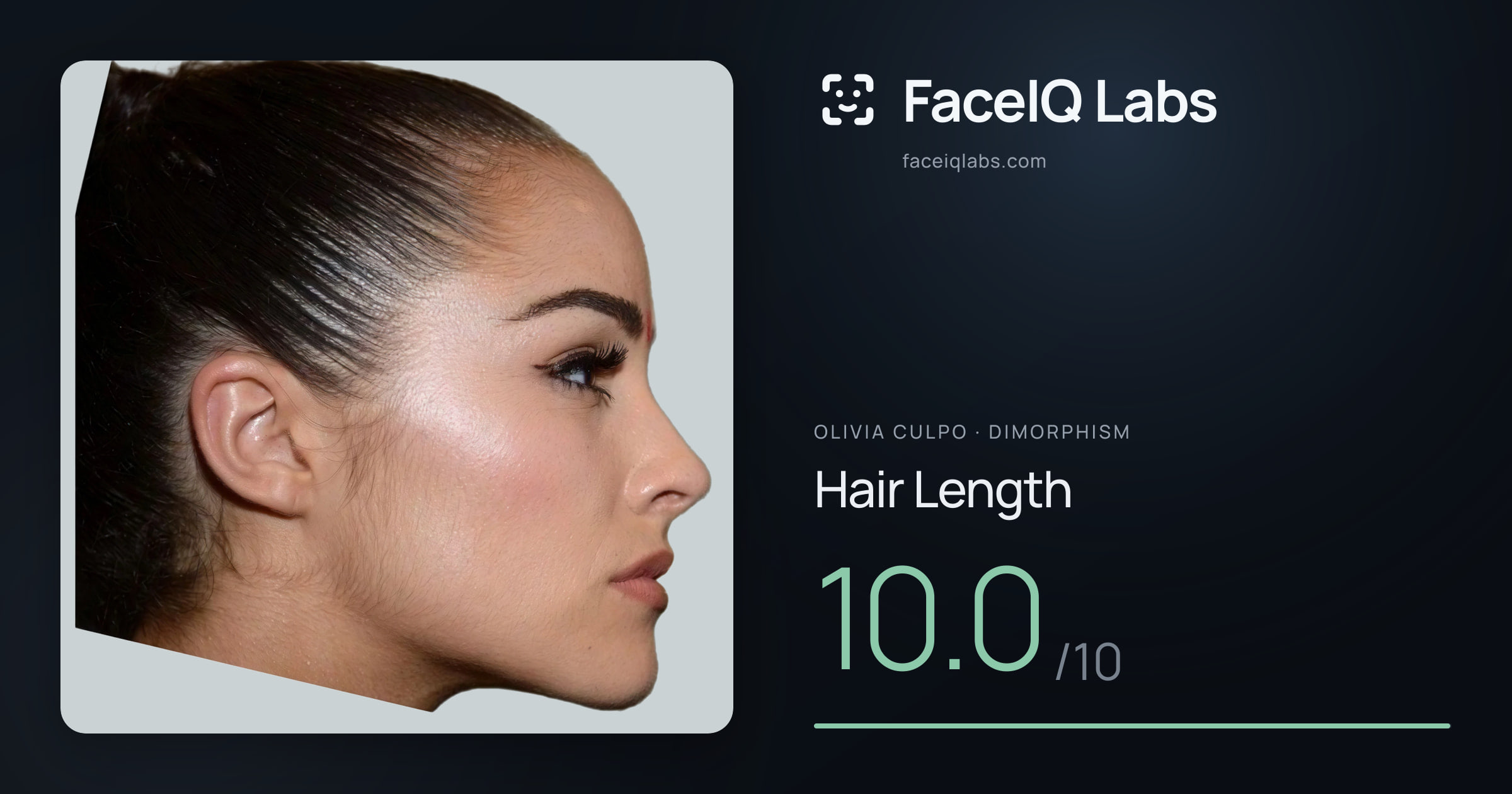 Olivia Culpo Hair Length: 10.0/10, drawn on the photo