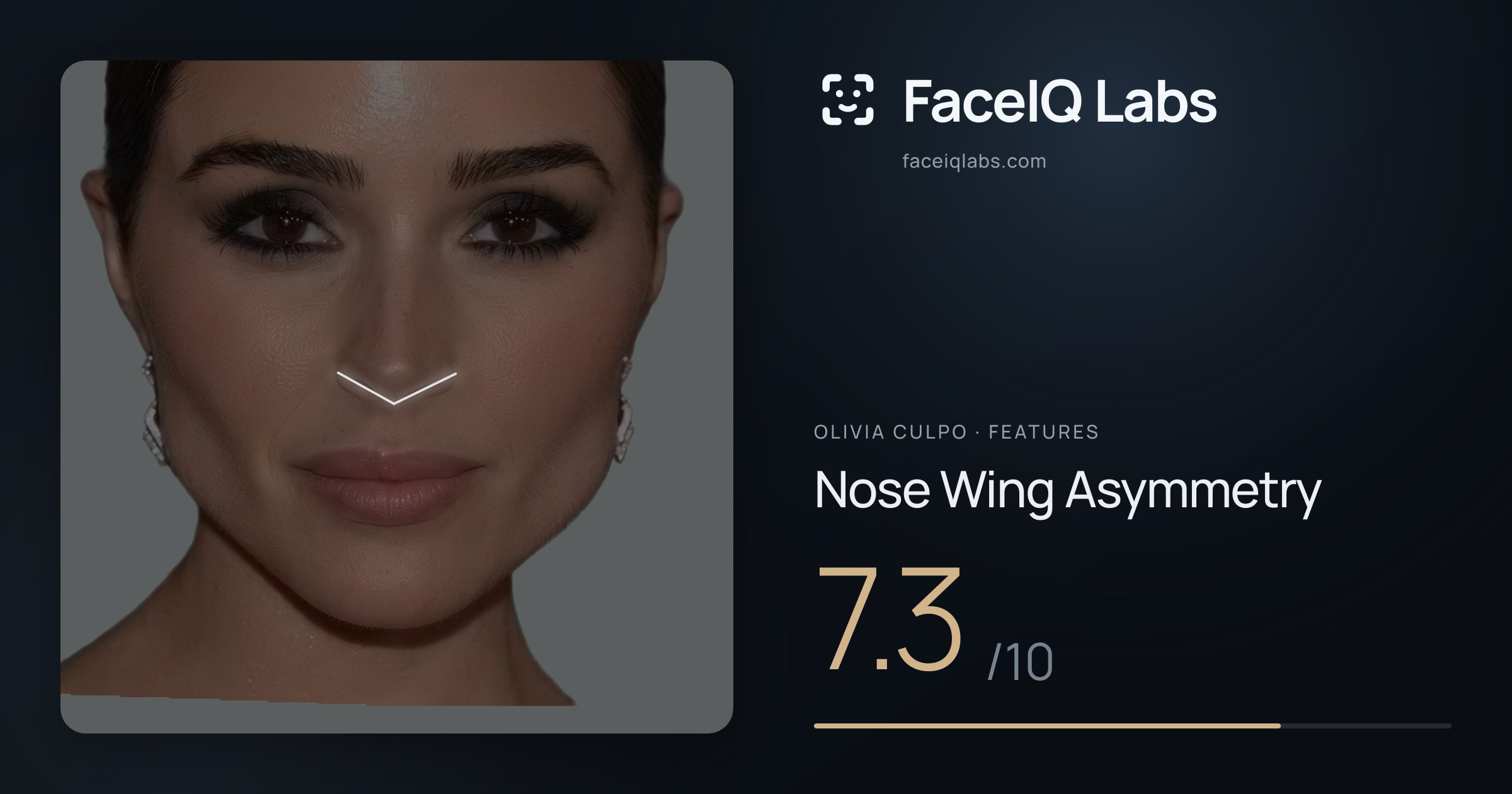 Olivia Culpo Nose Wing Asymmetry: 7.3/10, drawn on the photo