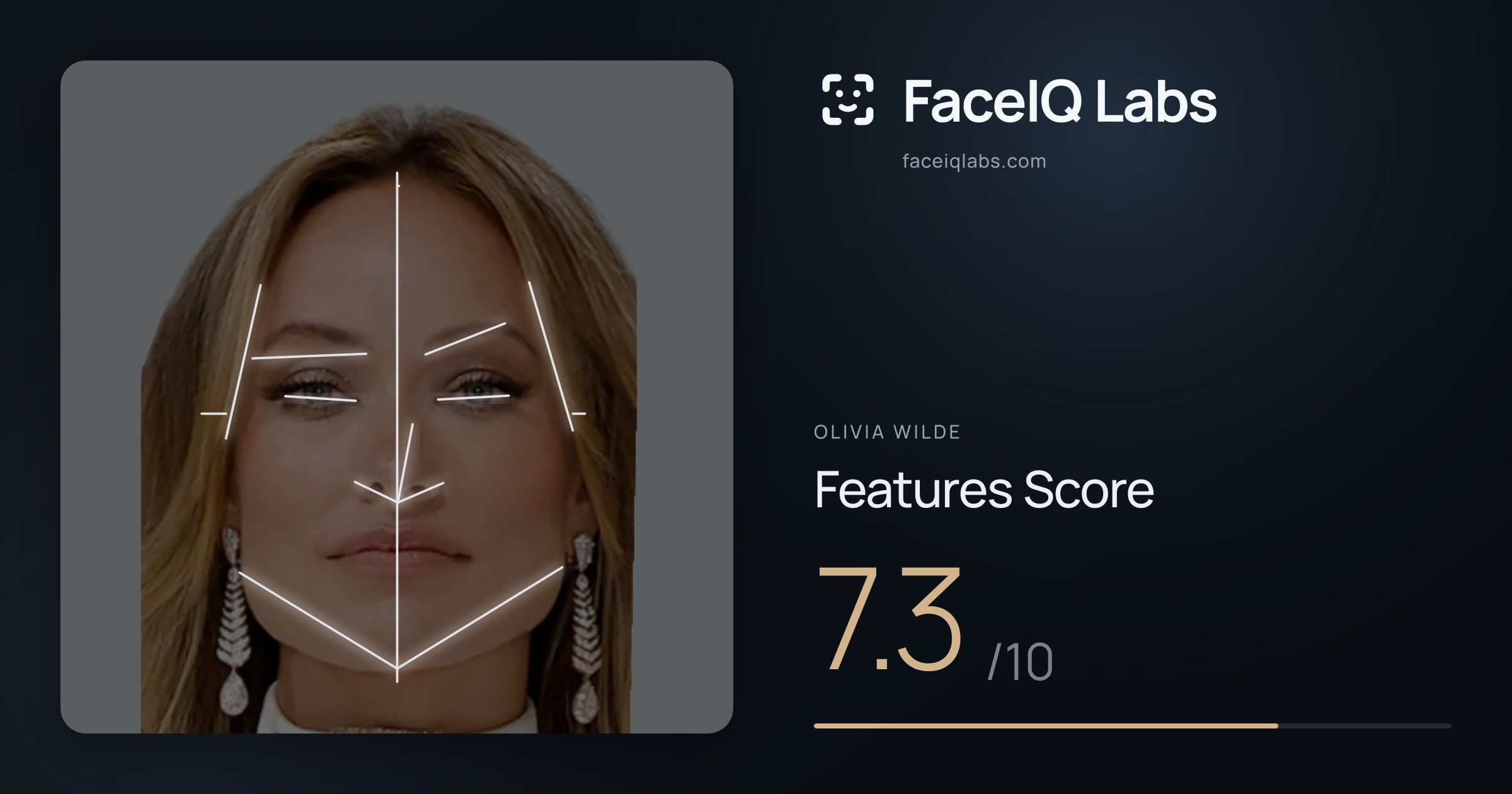 Olivia Wilde Features: 7.3/10, with each assessment drawn on the photo