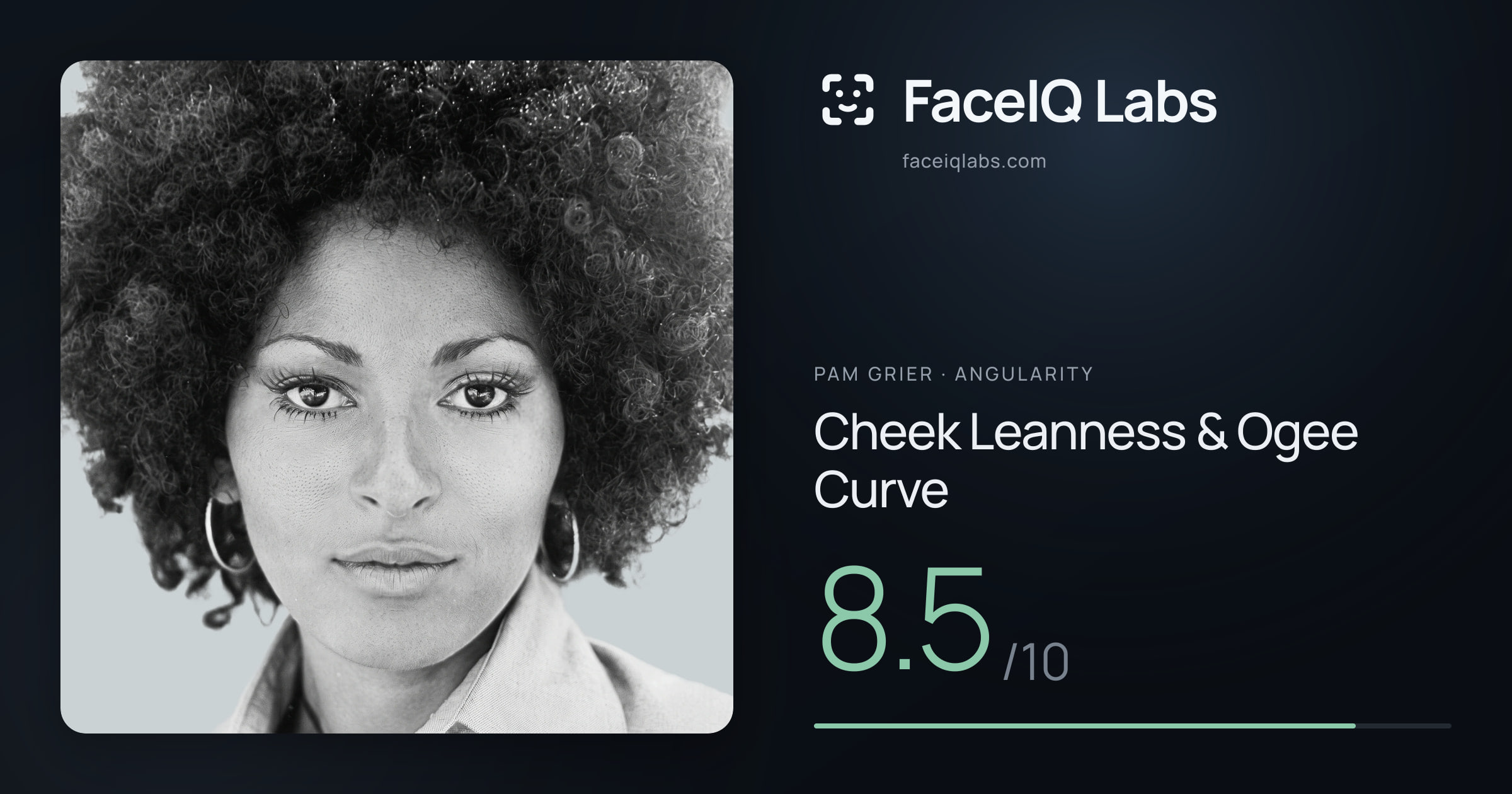 Pam Grier Cheek Leanness & Ogee Curve: 8.5/10, drawn on the photo