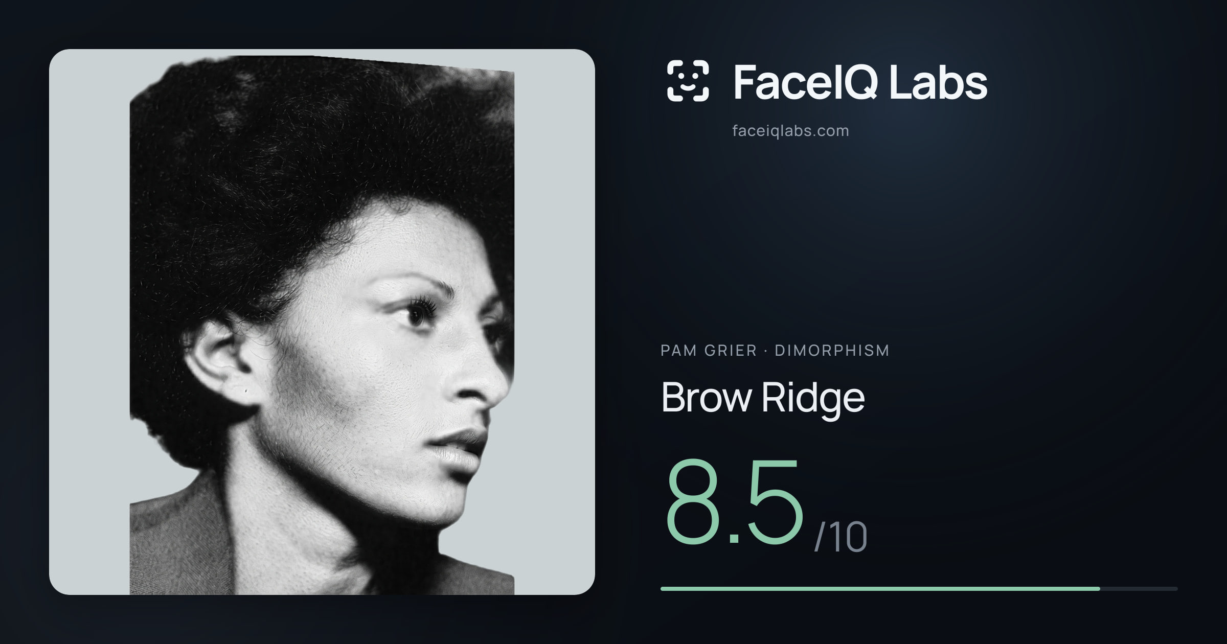 Pam Grier Brow Ridge: 8.5/10, drawn on the photo
