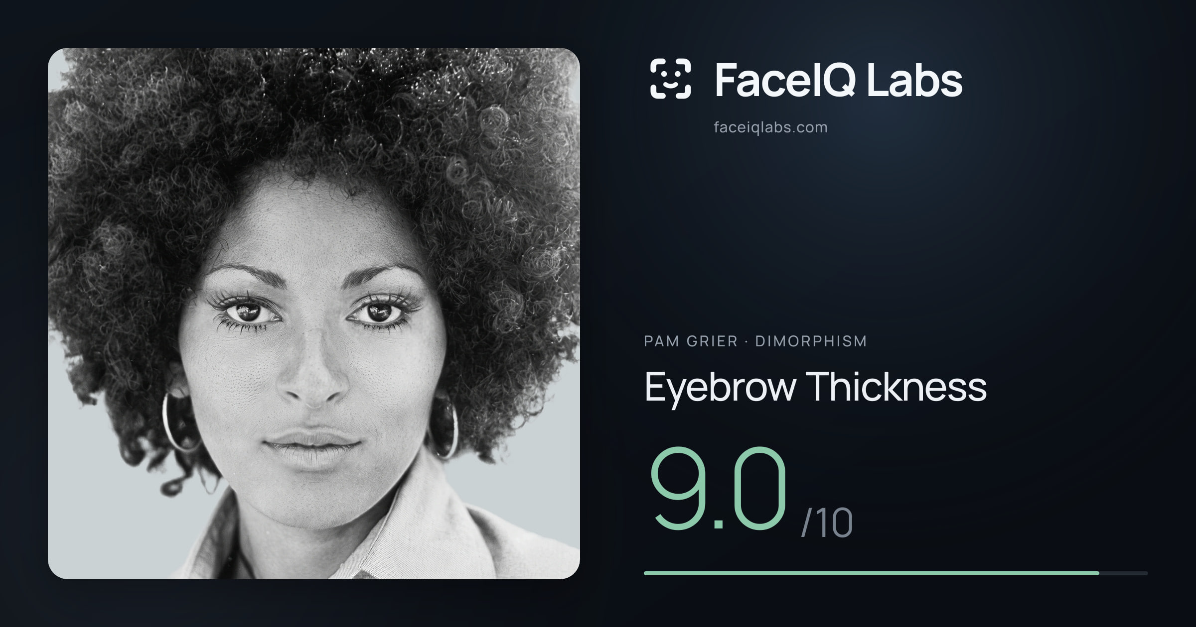 Pam Grier Eyebrow Thickness: 9.0/10, drawn on the photo