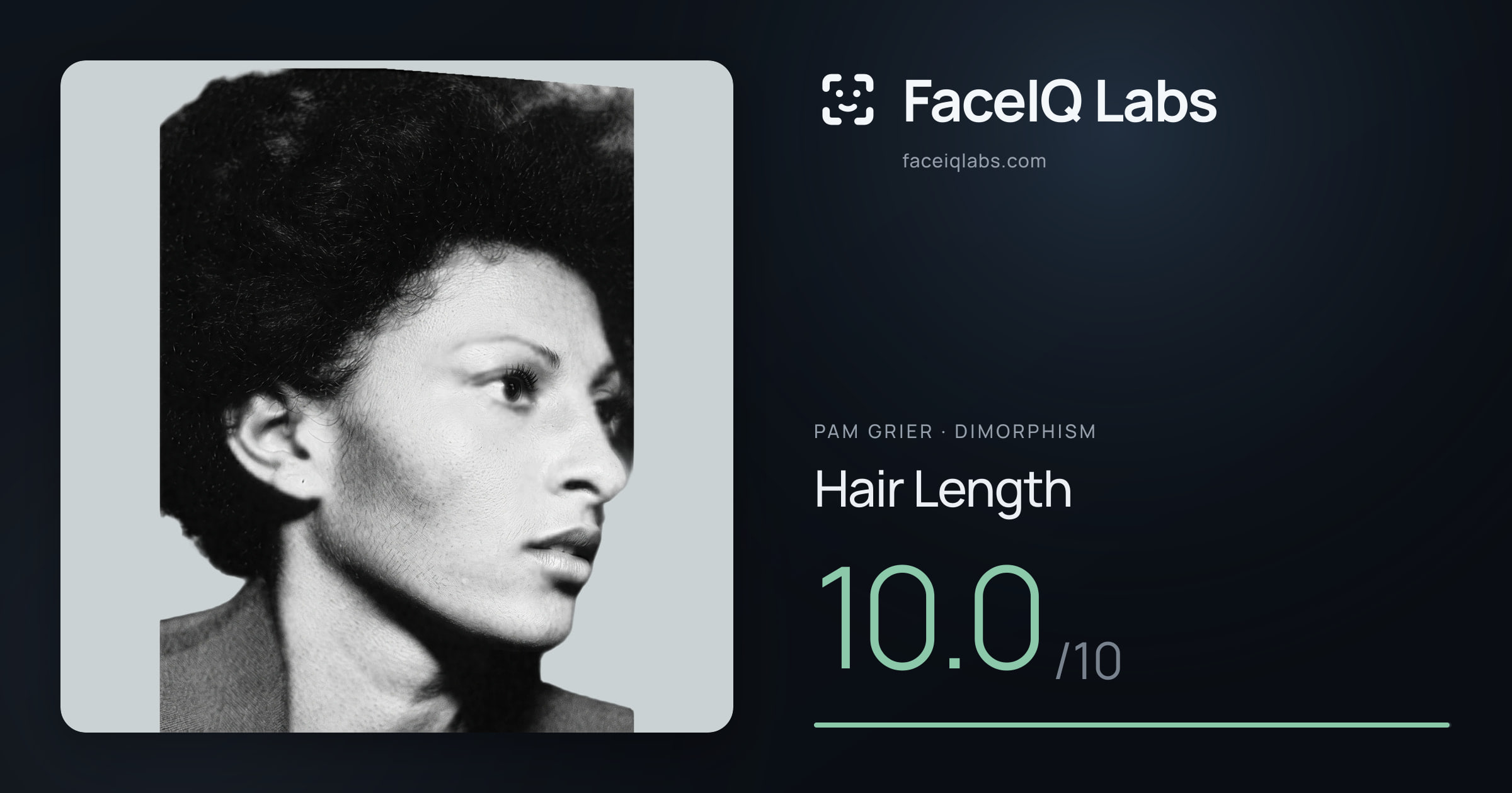 Pam Grier Hair Length: 10.0/10, drawn on the photo