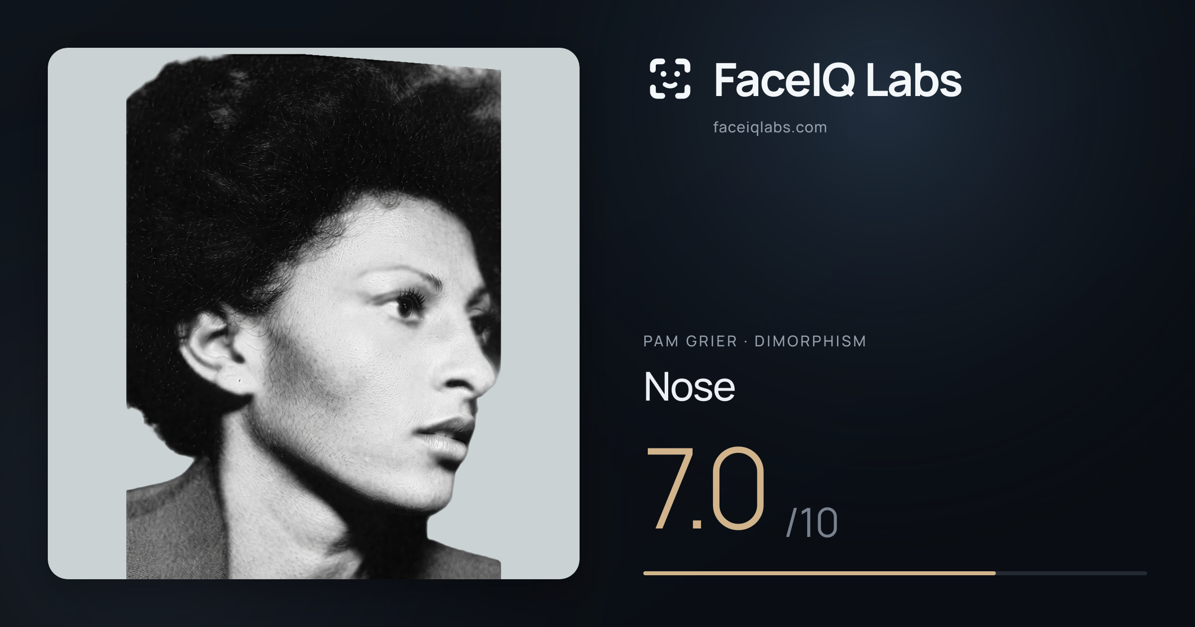 Pam Grier Nose: 7.0/10, drawn on the photo