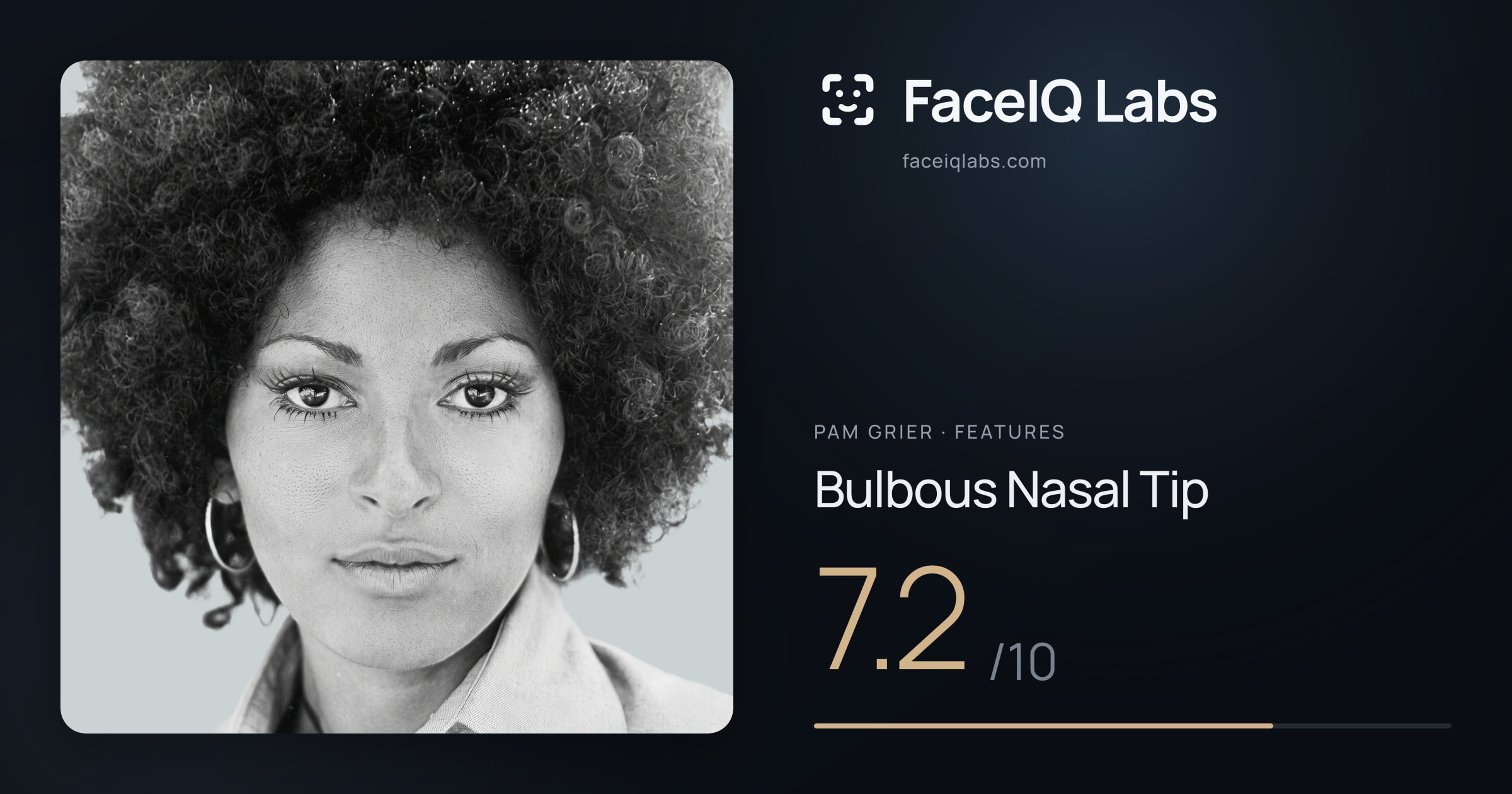 Pam Grier Bulbous Nasal Tip: 7.2/10, drawn on the photo