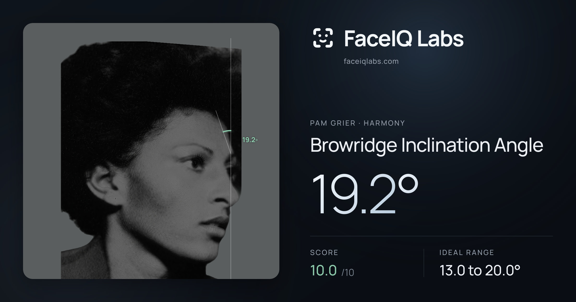 Pam Grier Browridge Inclination Angle: 19.2°, drawn on the photo