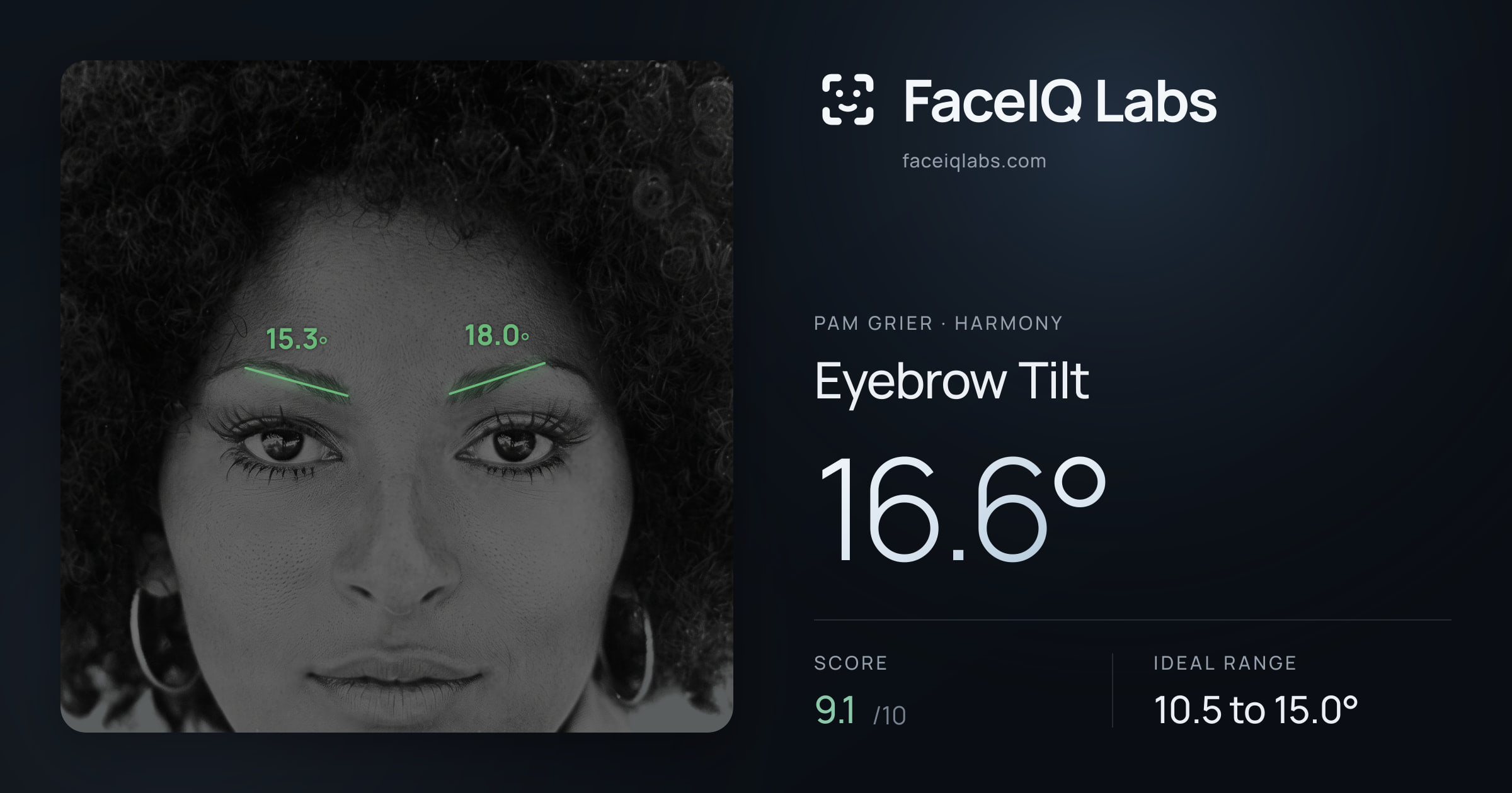 Pam Grier Eyebrow Tilt: 16.6°, drawn on the photo