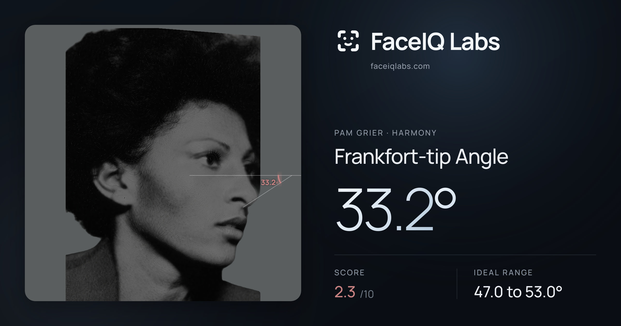 Pam Grier Frankfort-tip Angle: 33.2°, drawn on the photo