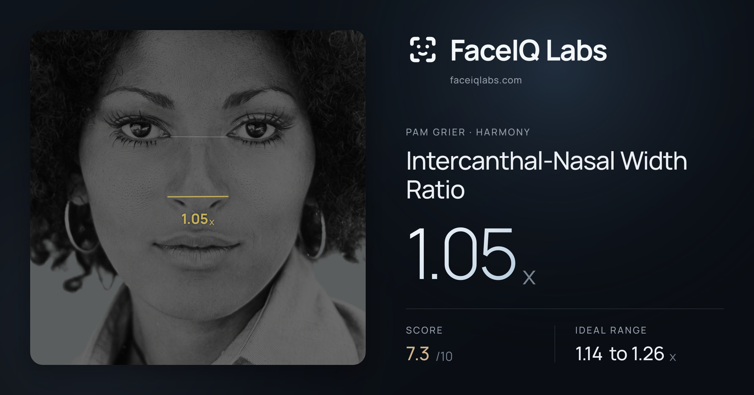 Pam Grier Intercanthal-Nasal Width Ratio: 1.05x, drawn on the photo