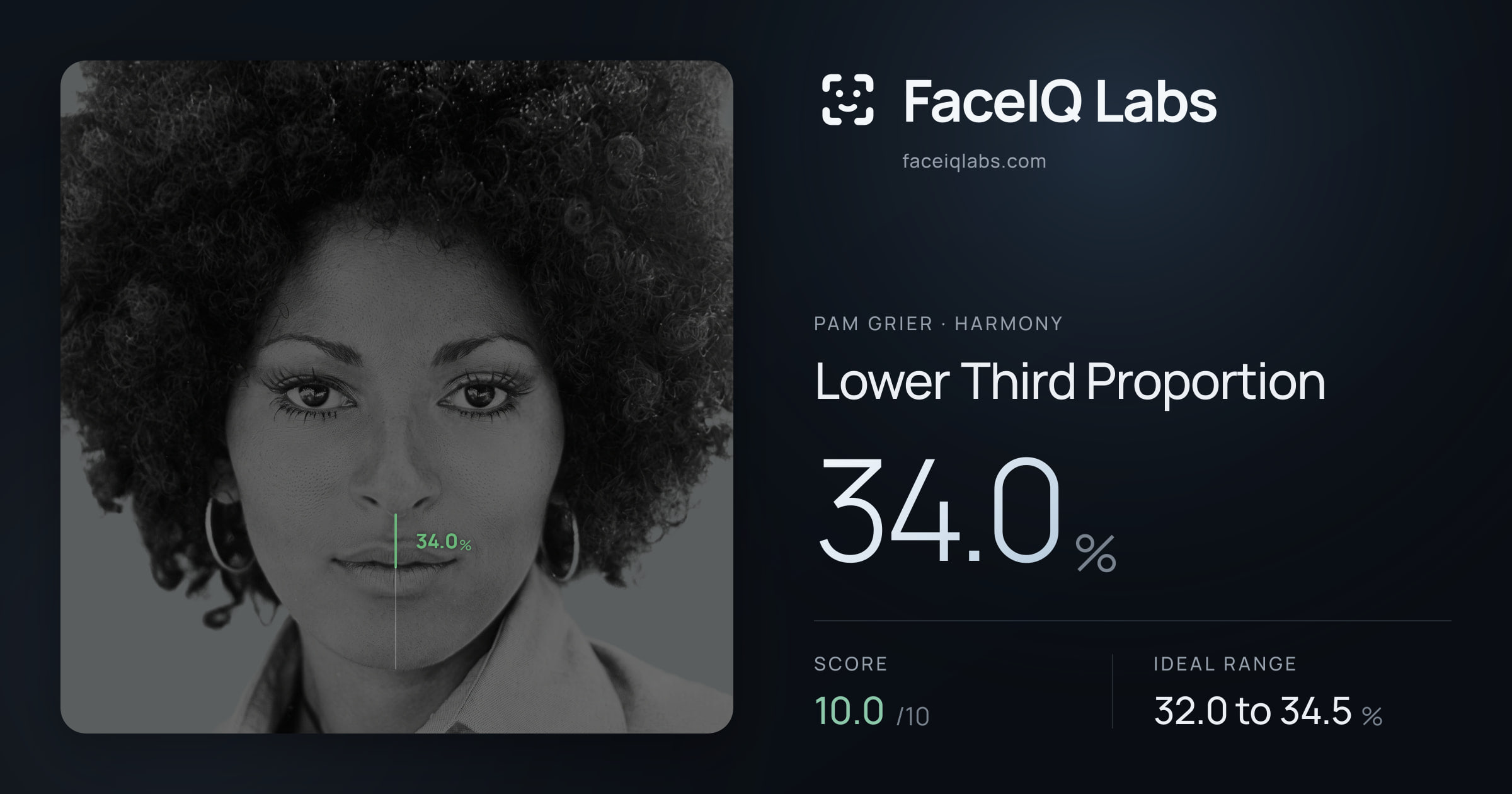 Pam Grier Lower Third Proportion: 34.0%, drawn on the photo