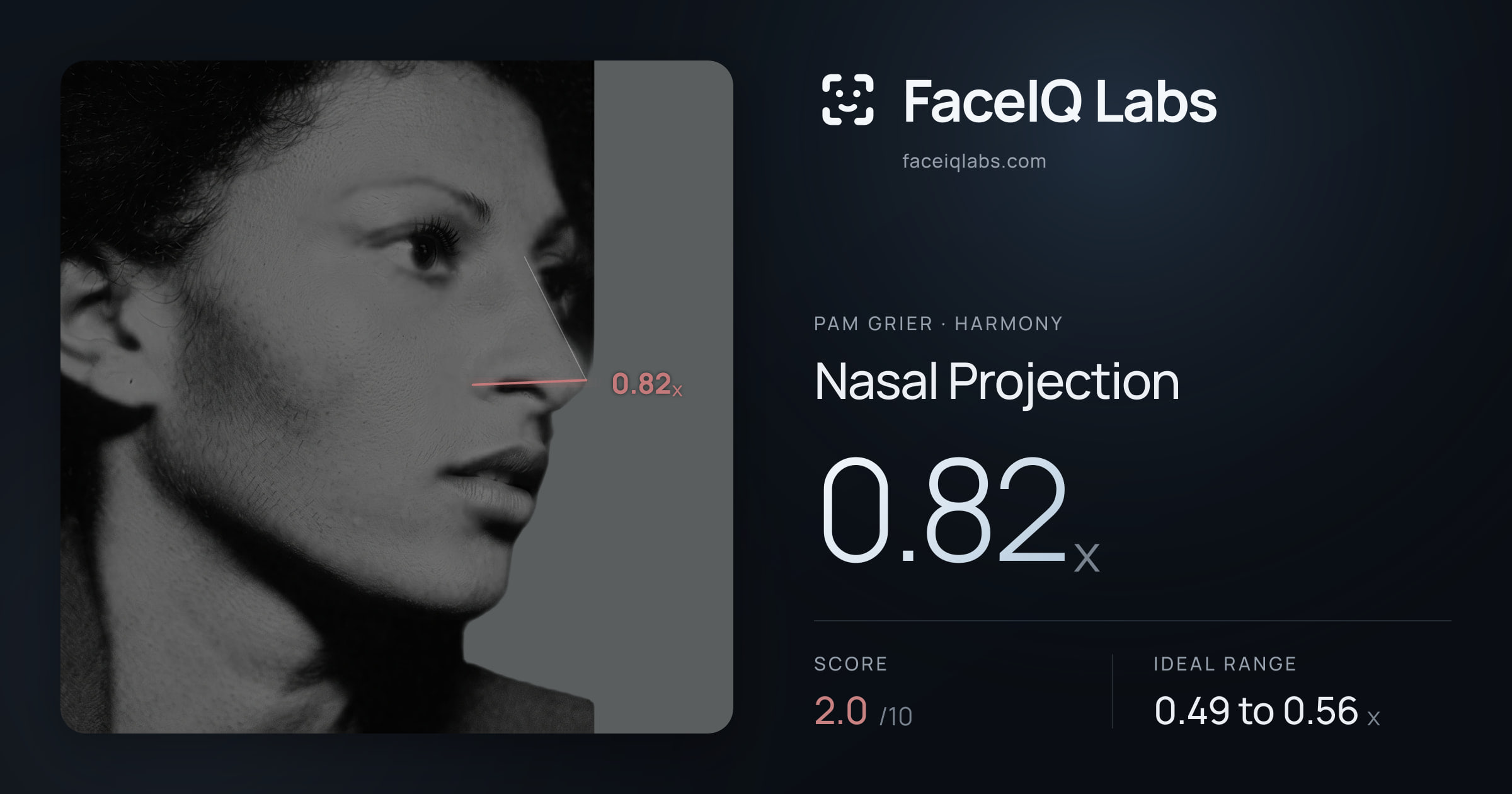 Pam Grier Nasal Projection: 0.82x, drawn on the photo
