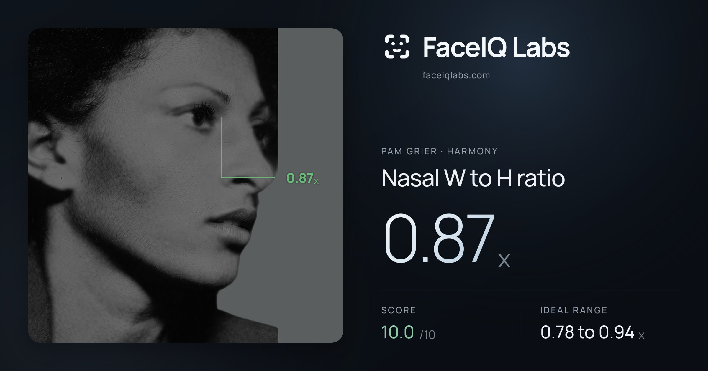 Pam Grier Nasal W to H ratio: 0.87x, drawn on the photo