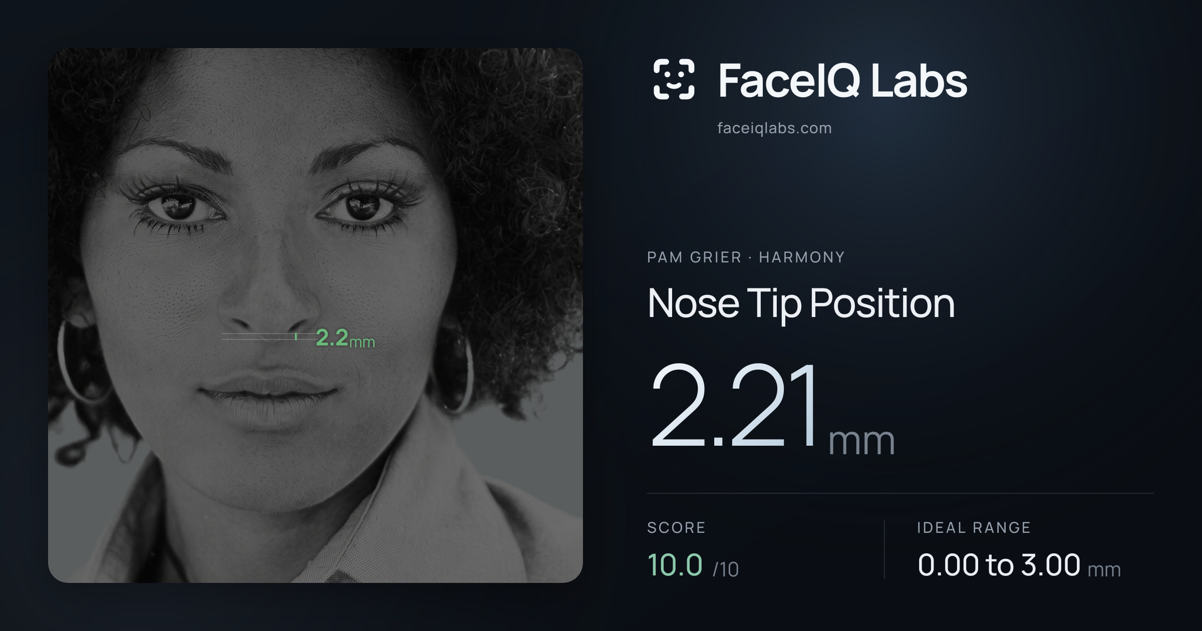 Pam Grier Nose Tip Position: 2.21mm, drawn on the photo