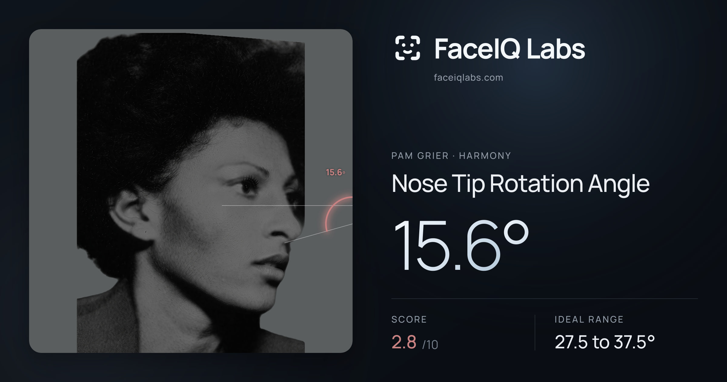 Pam Grier Nose Tip Rotation Angle: 15.6°, drawn on the photo